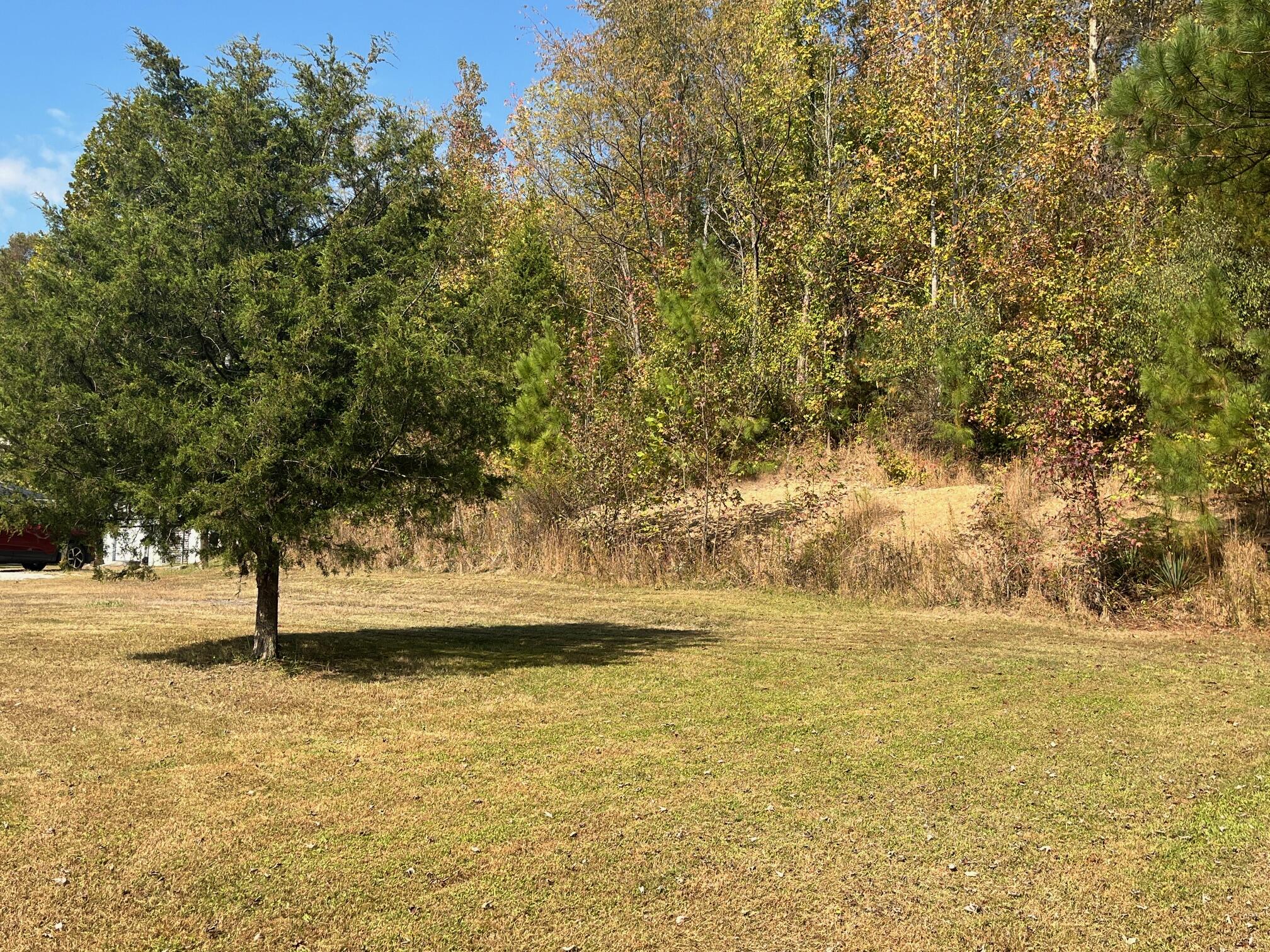 341 Ky 930 Property Photo 5