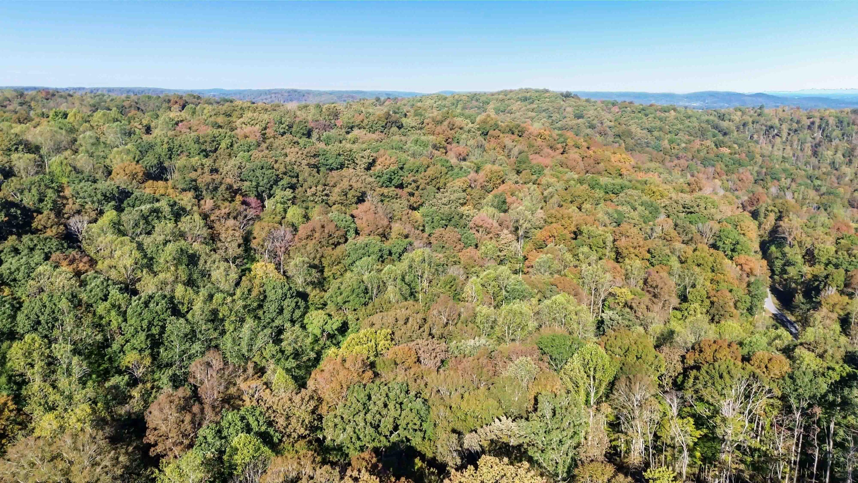 681 Stoneybrook Road Property Photo 11