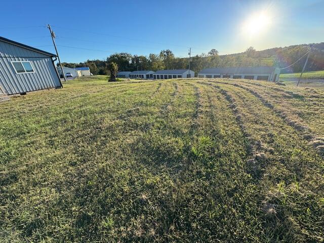85 Blue Licks Spur Property Photo 14