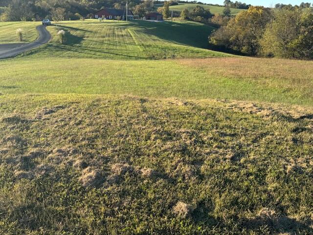 85 Blue Licks Spur Property Photo 15