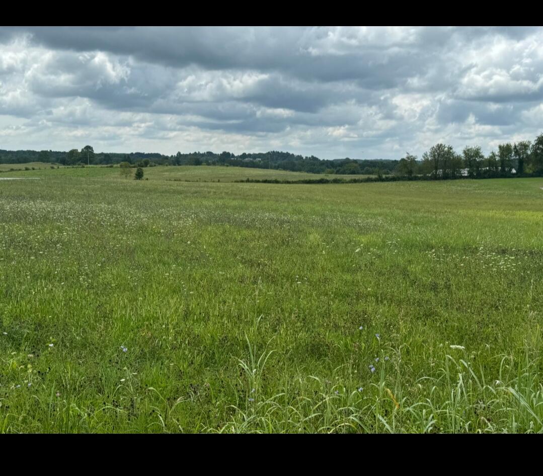 00000 Wyan Road Property Photo 1