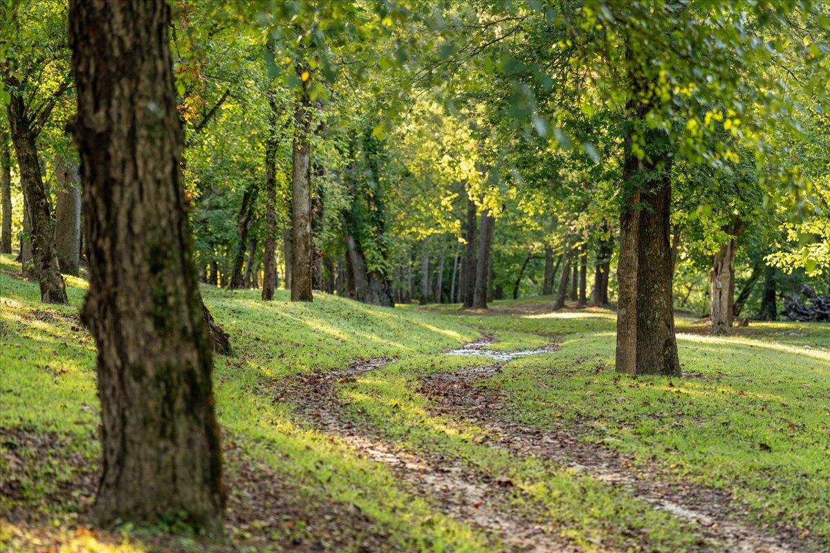 2270 Star Gap Road Property Photo 6