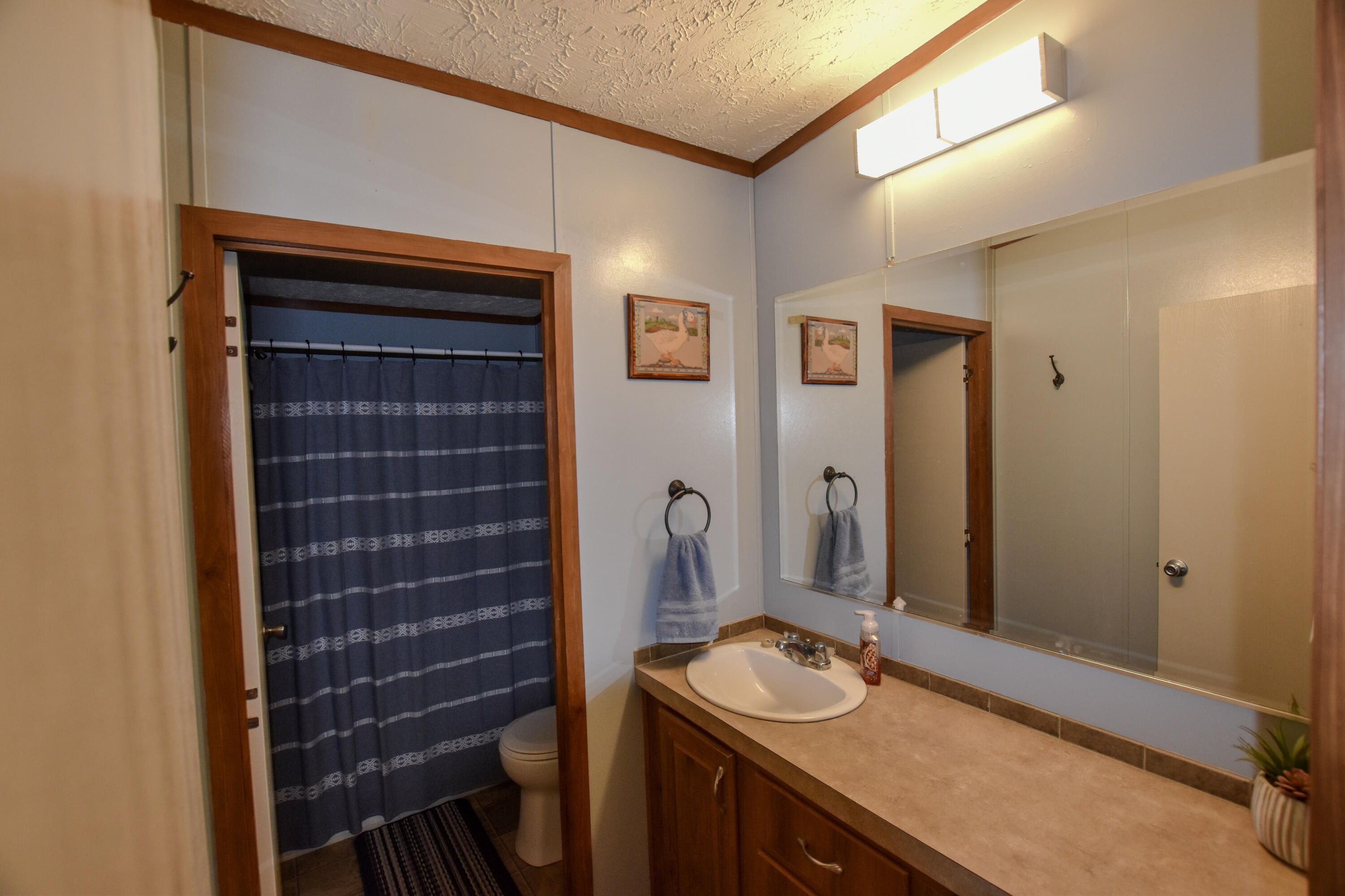 13 Wolf Run Road Property Photo 29