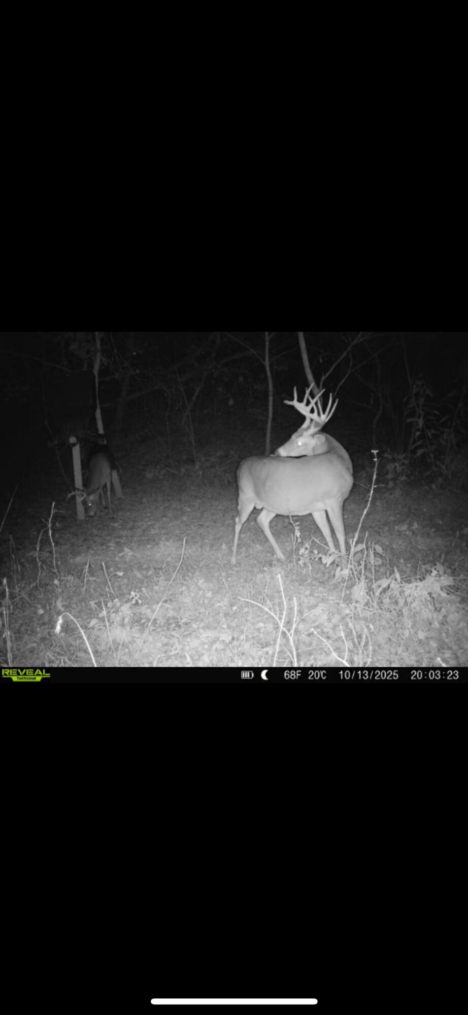 901 Hayden Brothers Lane Property Photo 34