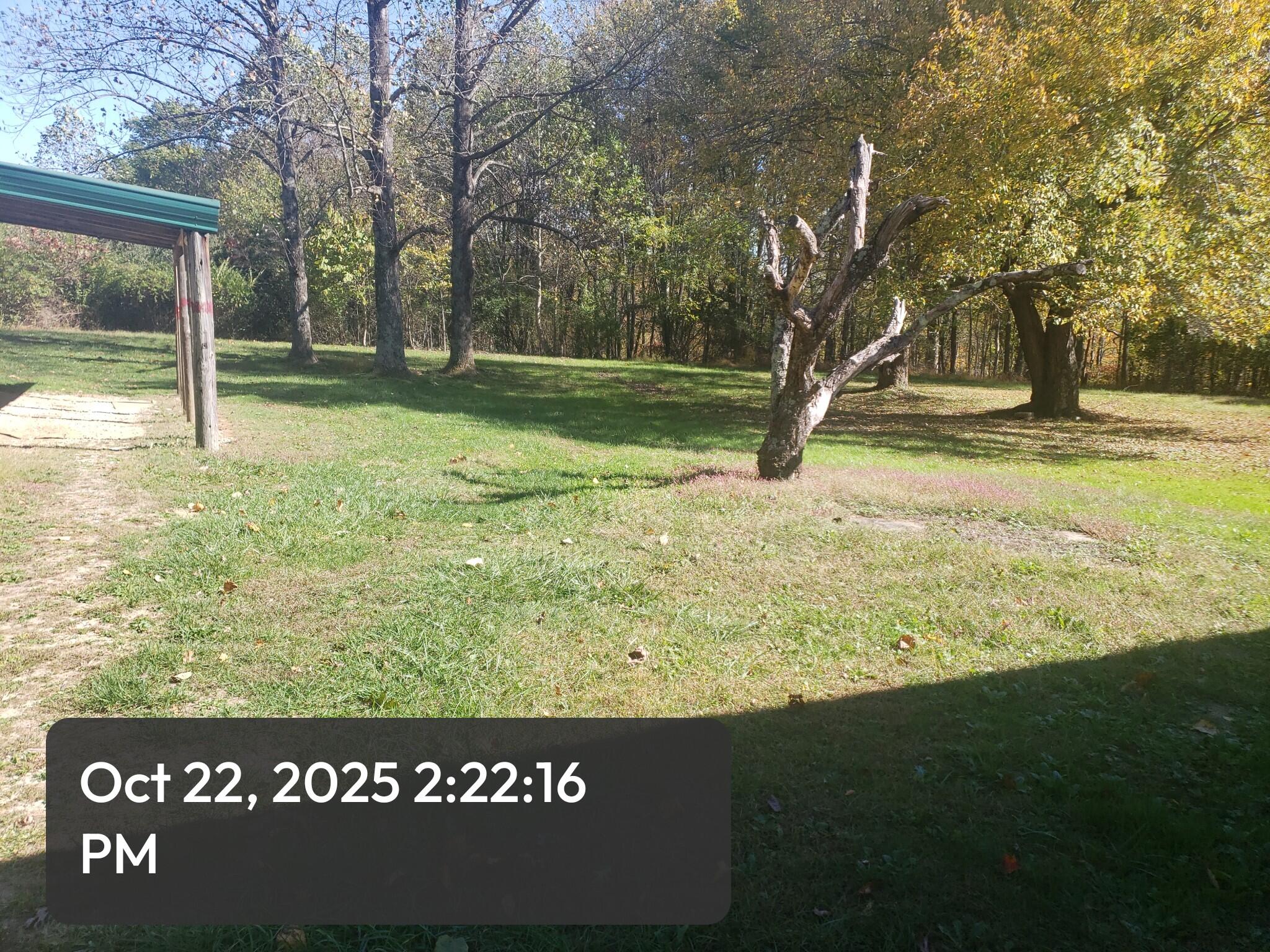 232 Crank Road 1 Property Photo 2