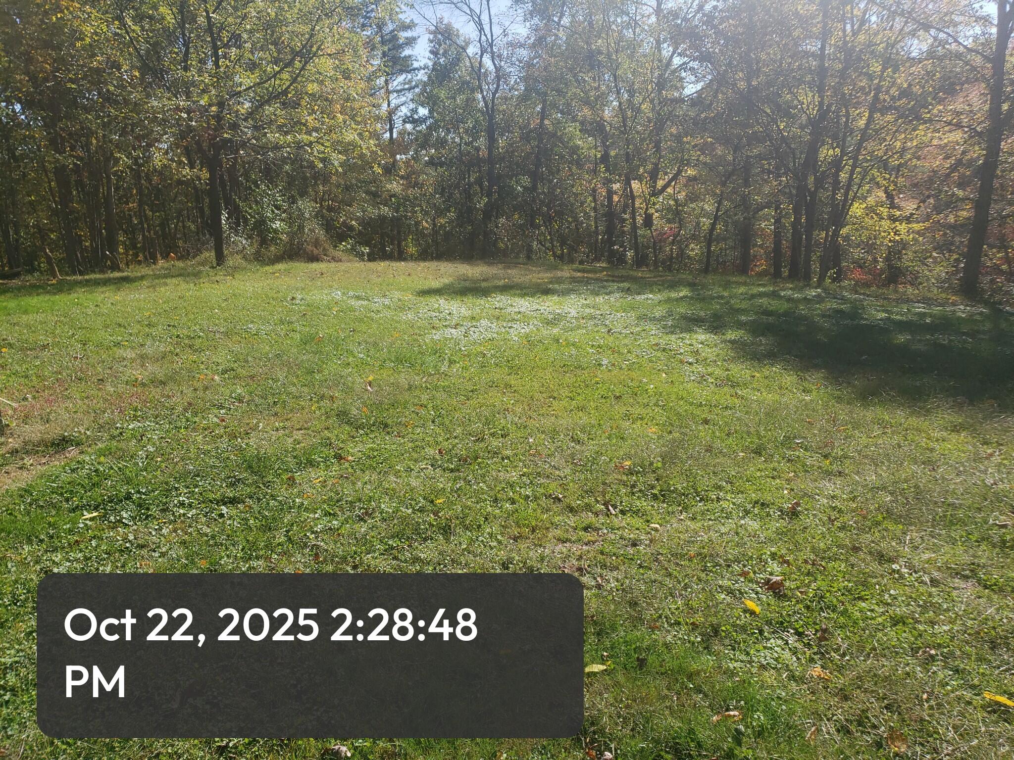 232 Crank Road 1 Property Photo 21