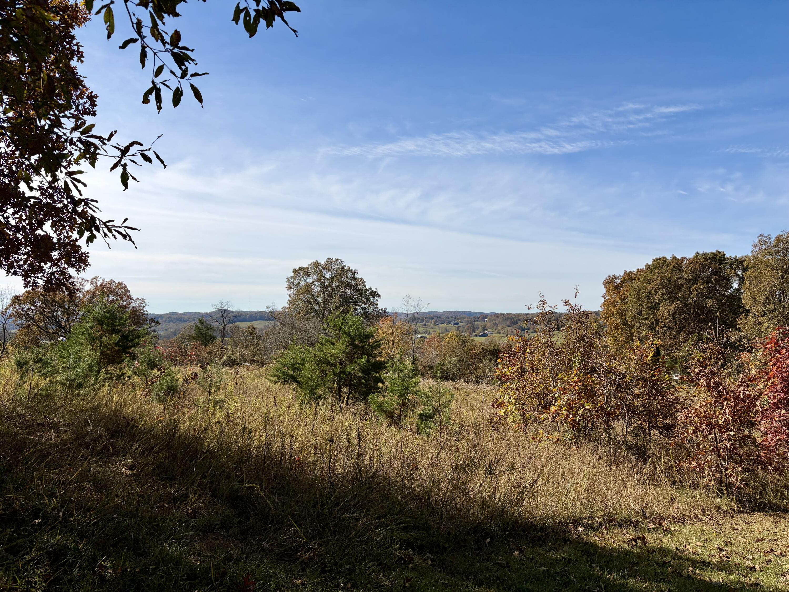 182 Robert Morris Road Property Photo 1