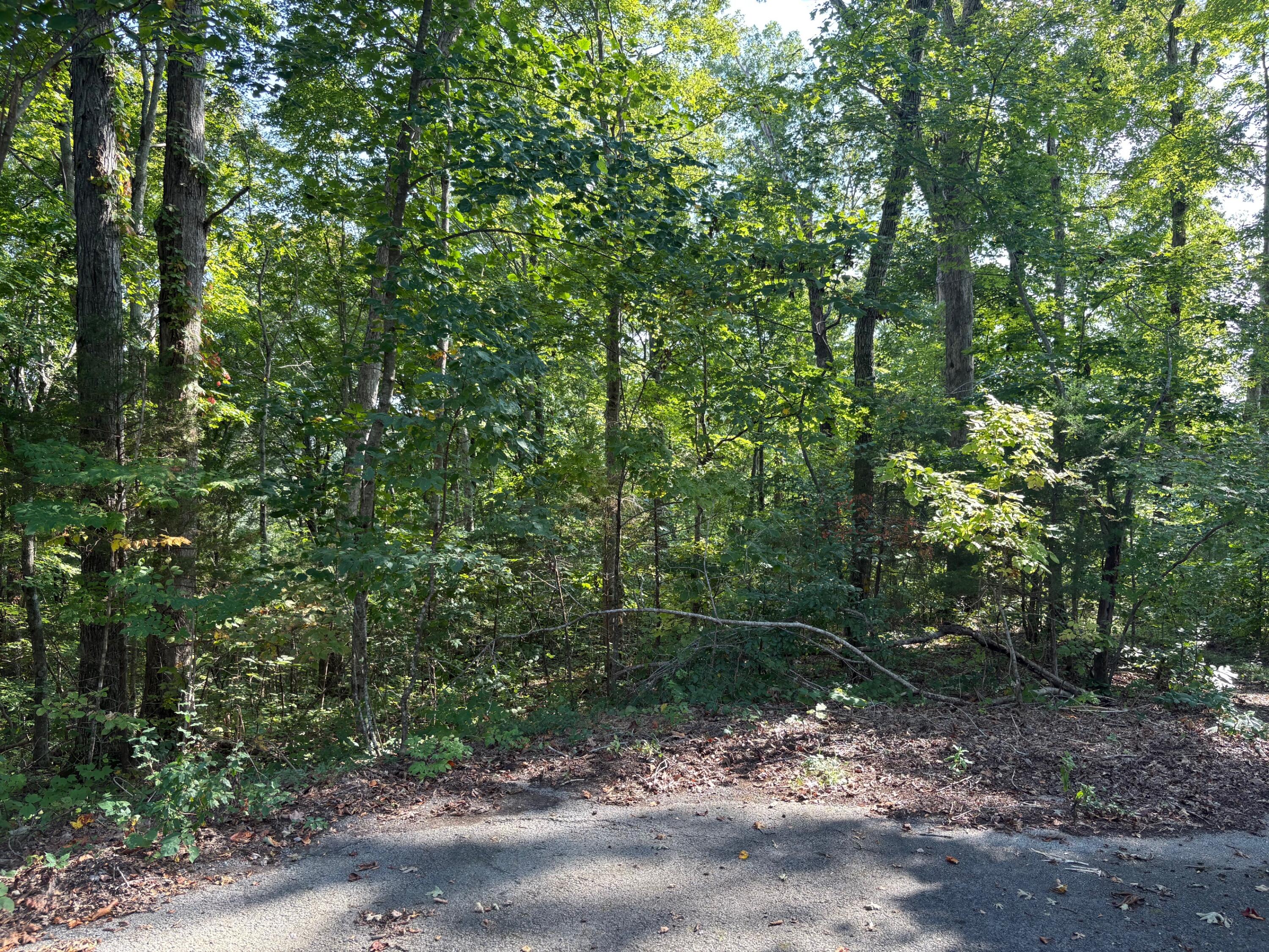 7 Sunset Drive Property Photo 1