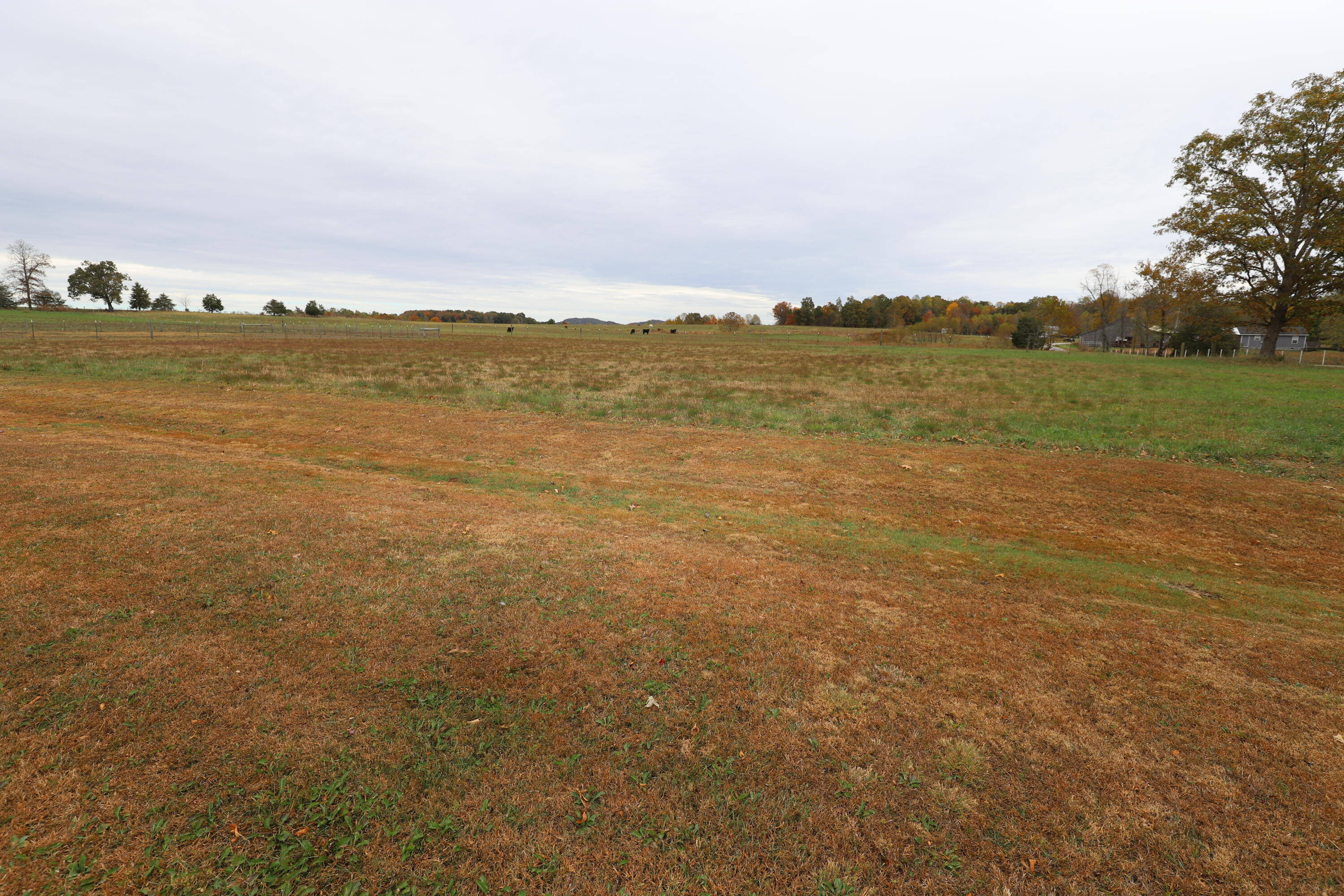 145 Hamm School Road Property Photo 29
