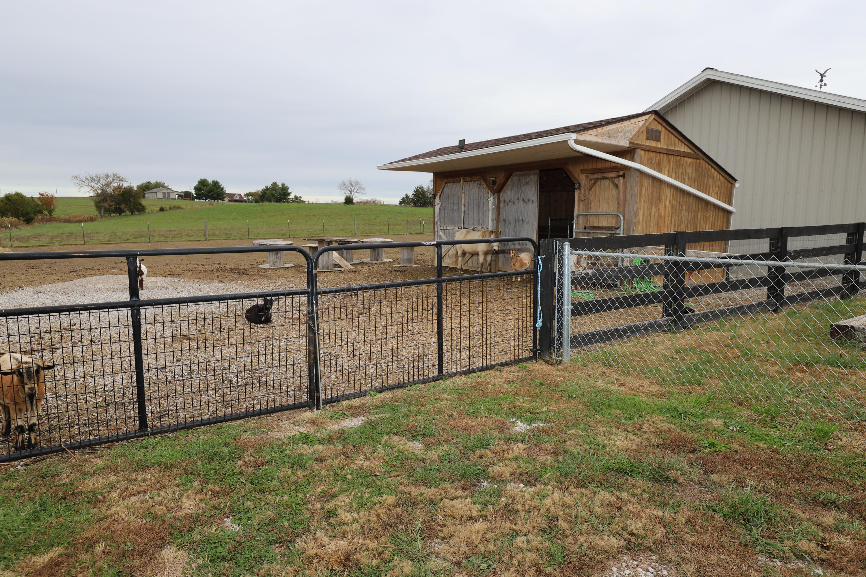 145 Hamm School Road Property Photo 42