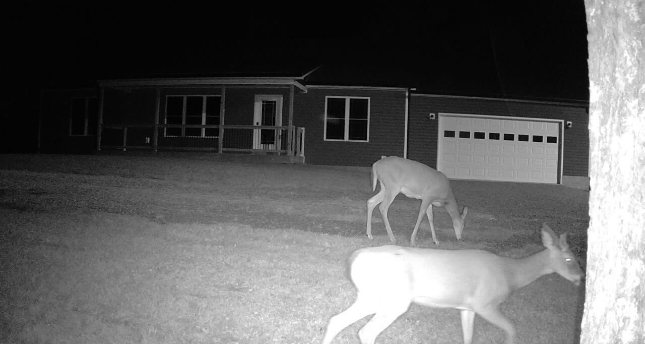 796 Hidden Acres Property Photo 39