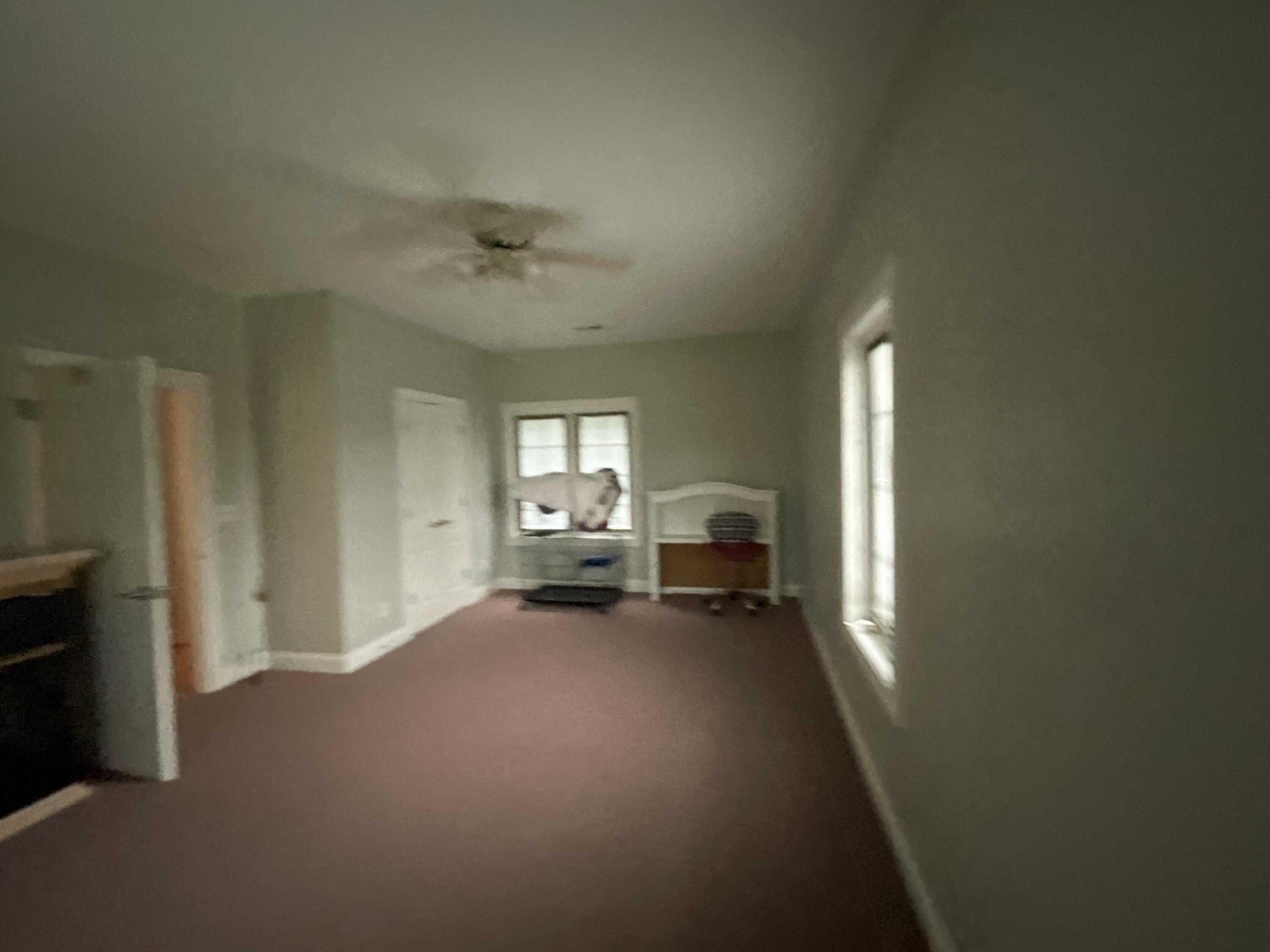 415 Splendor View Drive Property Photo 61