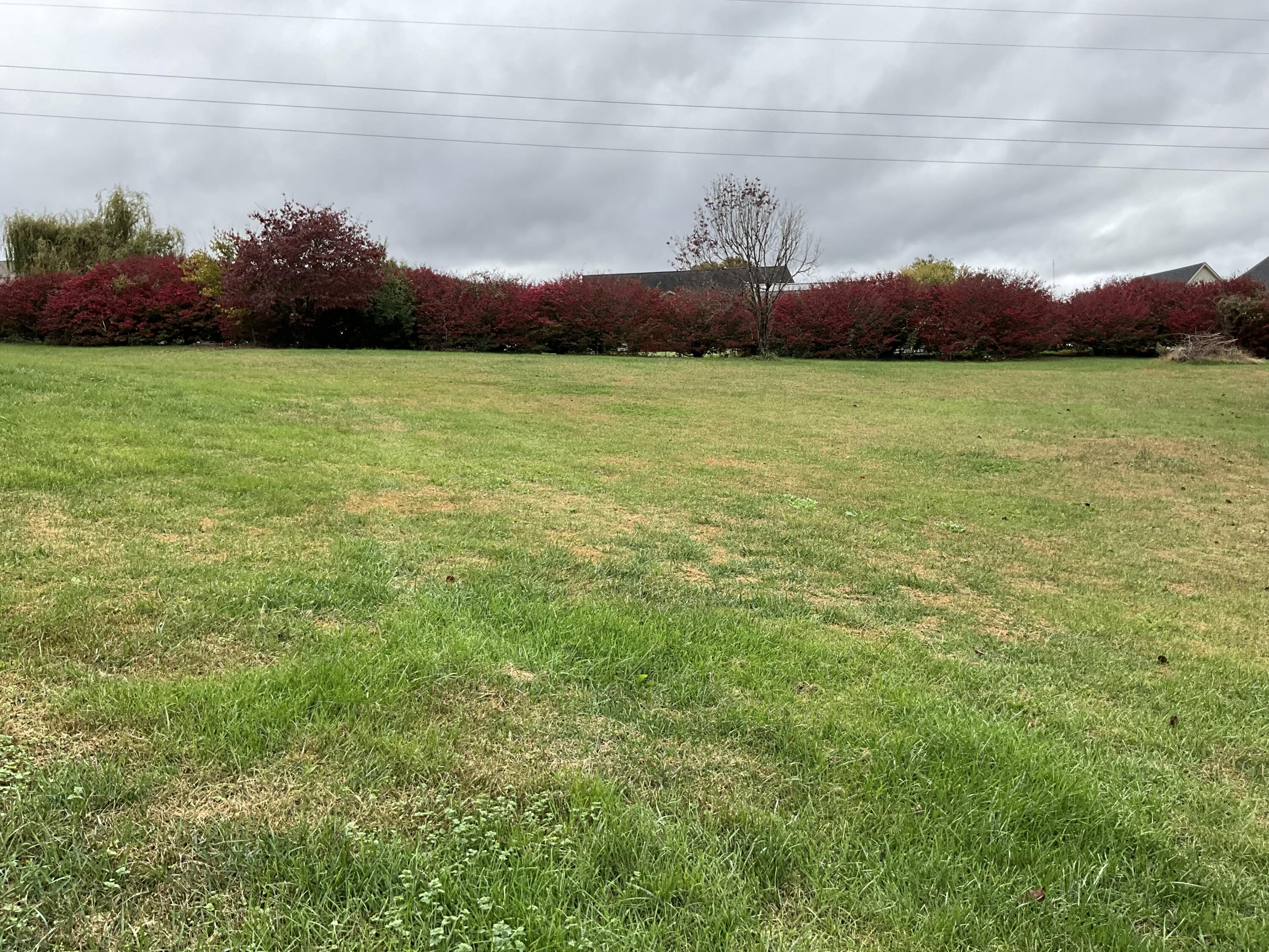 415 Splendor View Drive Property Photo 103