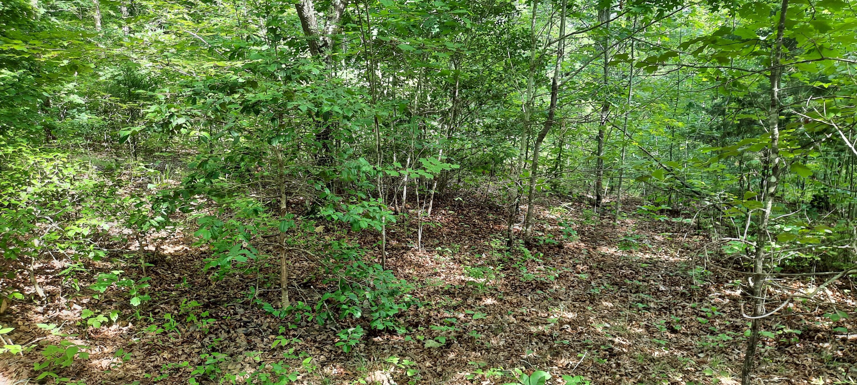 47 Vali Circle Property Photo 3