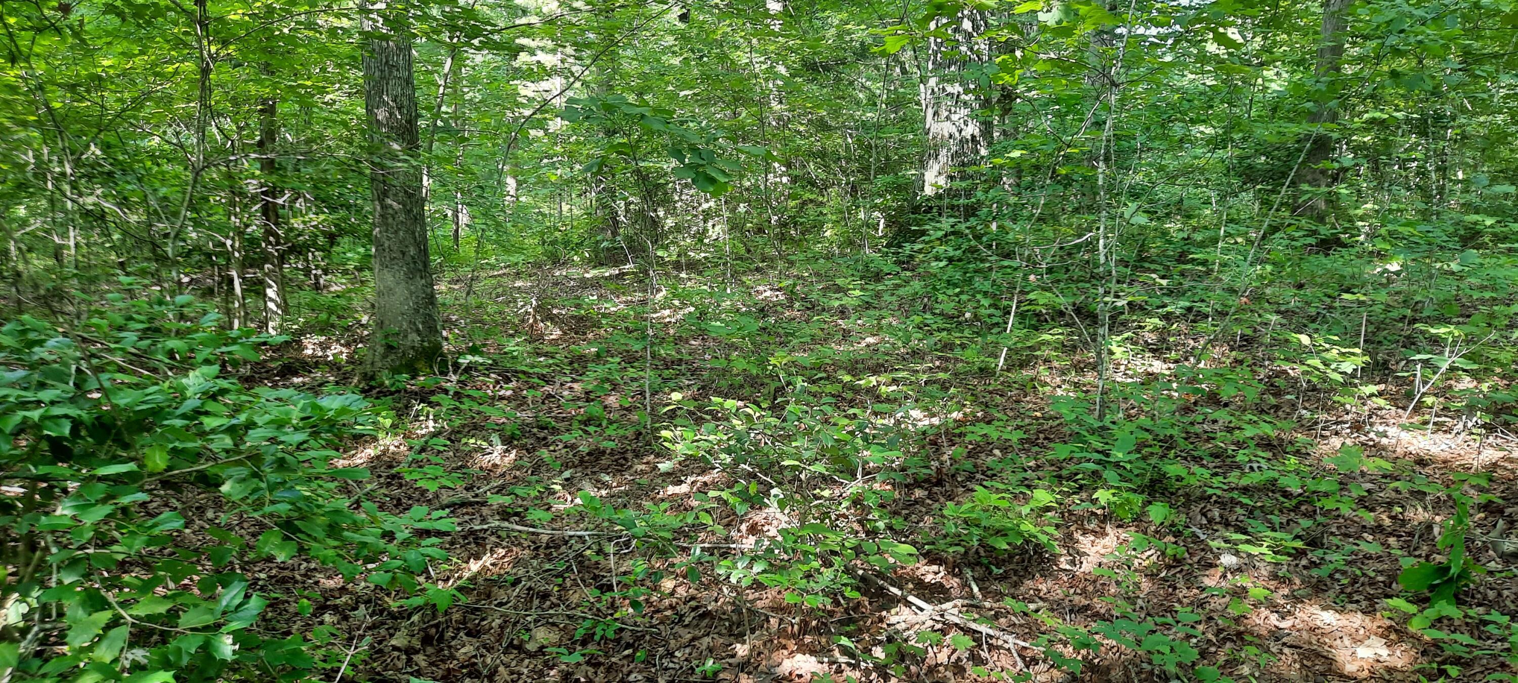 47 Vali Circle Property Photo 4