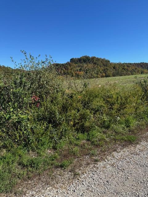 468 Botner Road Property Photo 12