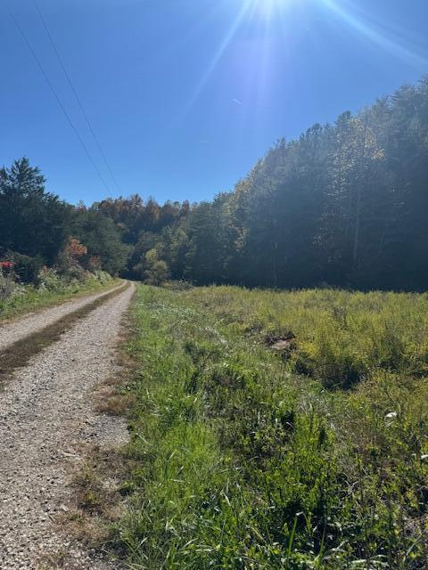 468 Botner Road Property Photo 13