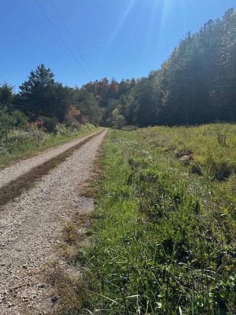 468 Botner Road Property Photo 15