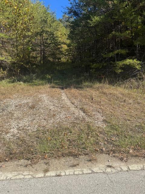 468 Botner Road Property Photo 22