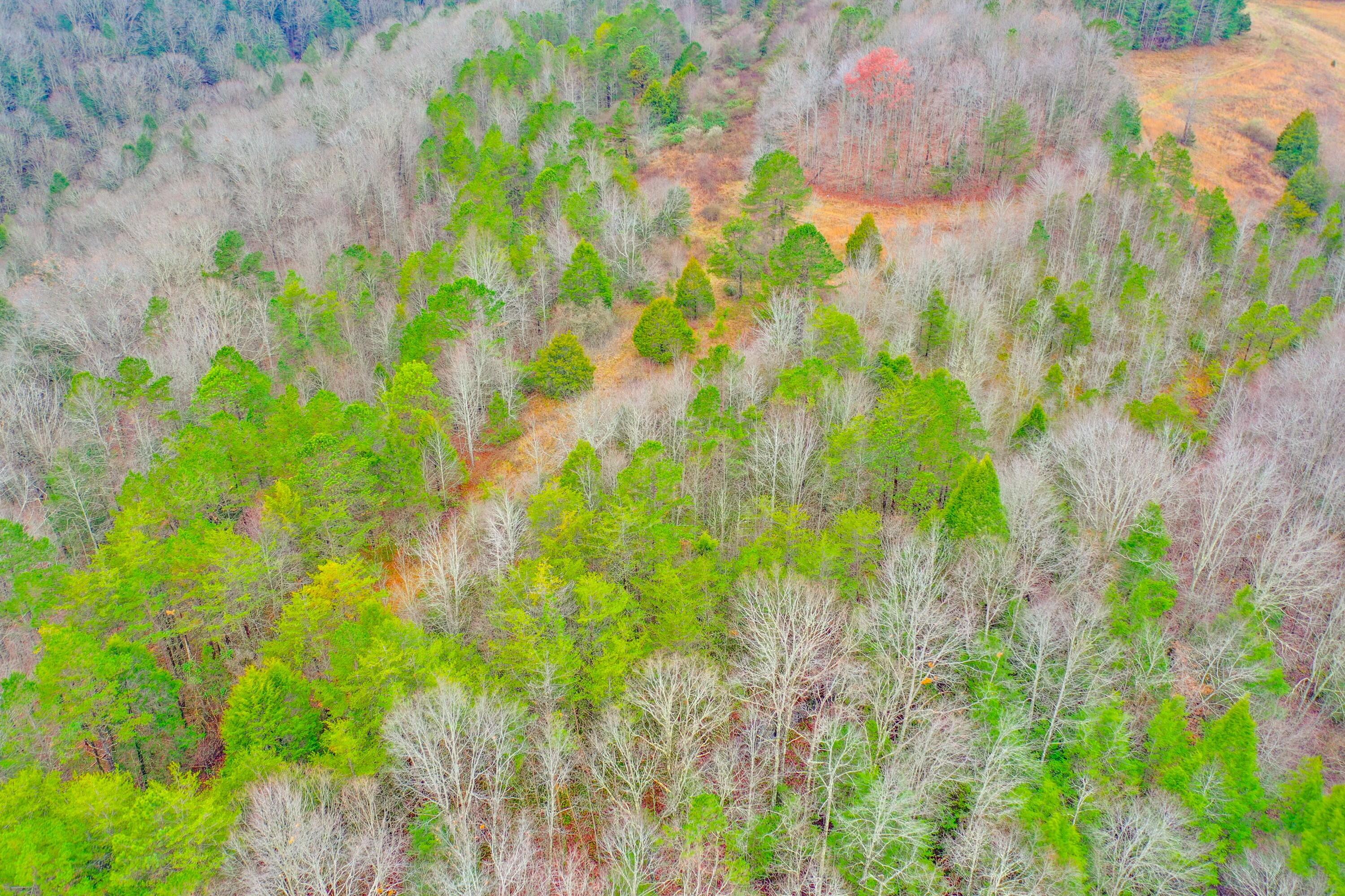9999 War Fork Road Property Photo 2