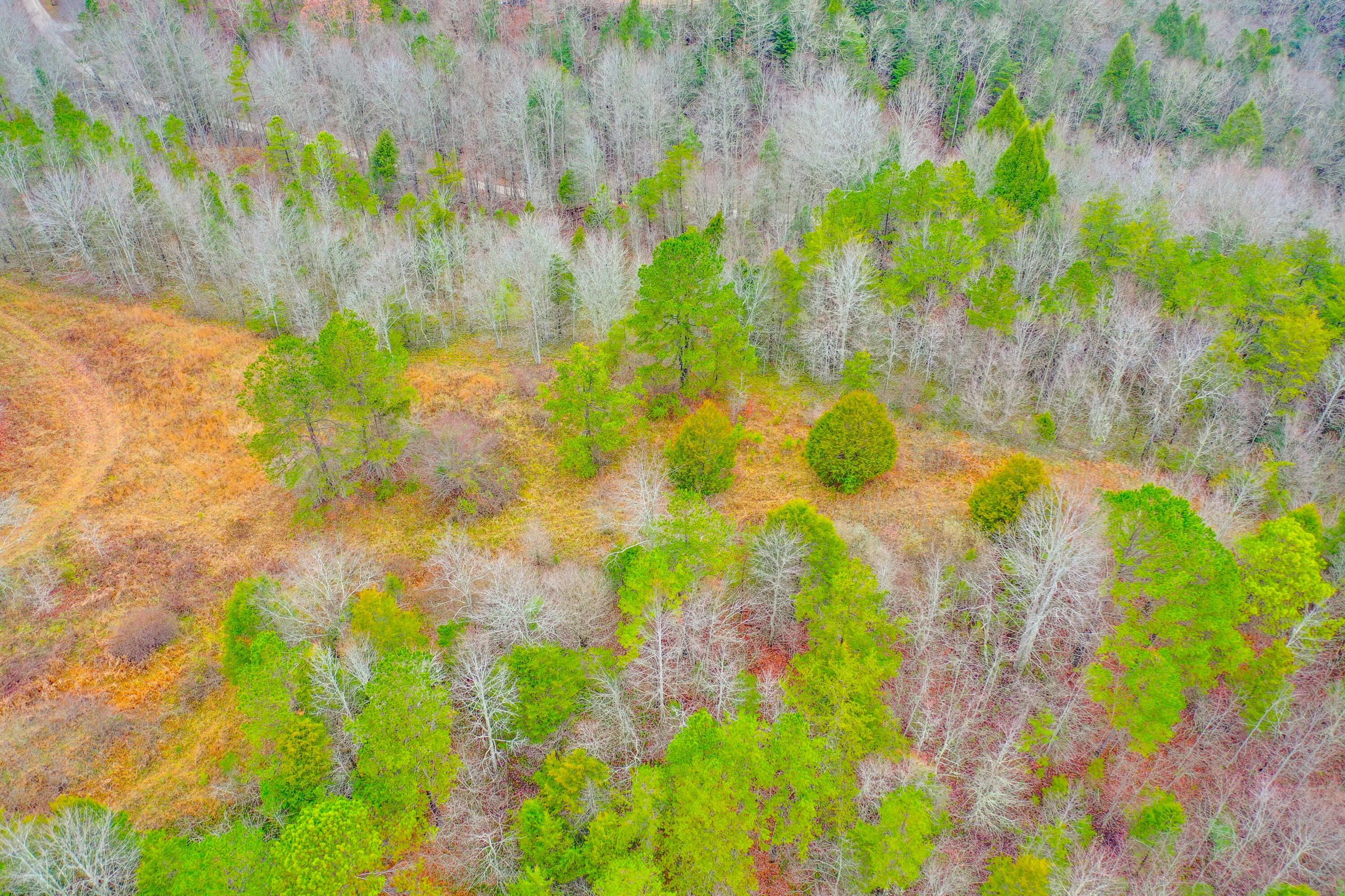 9999 War Fork Road Property Photo 3
