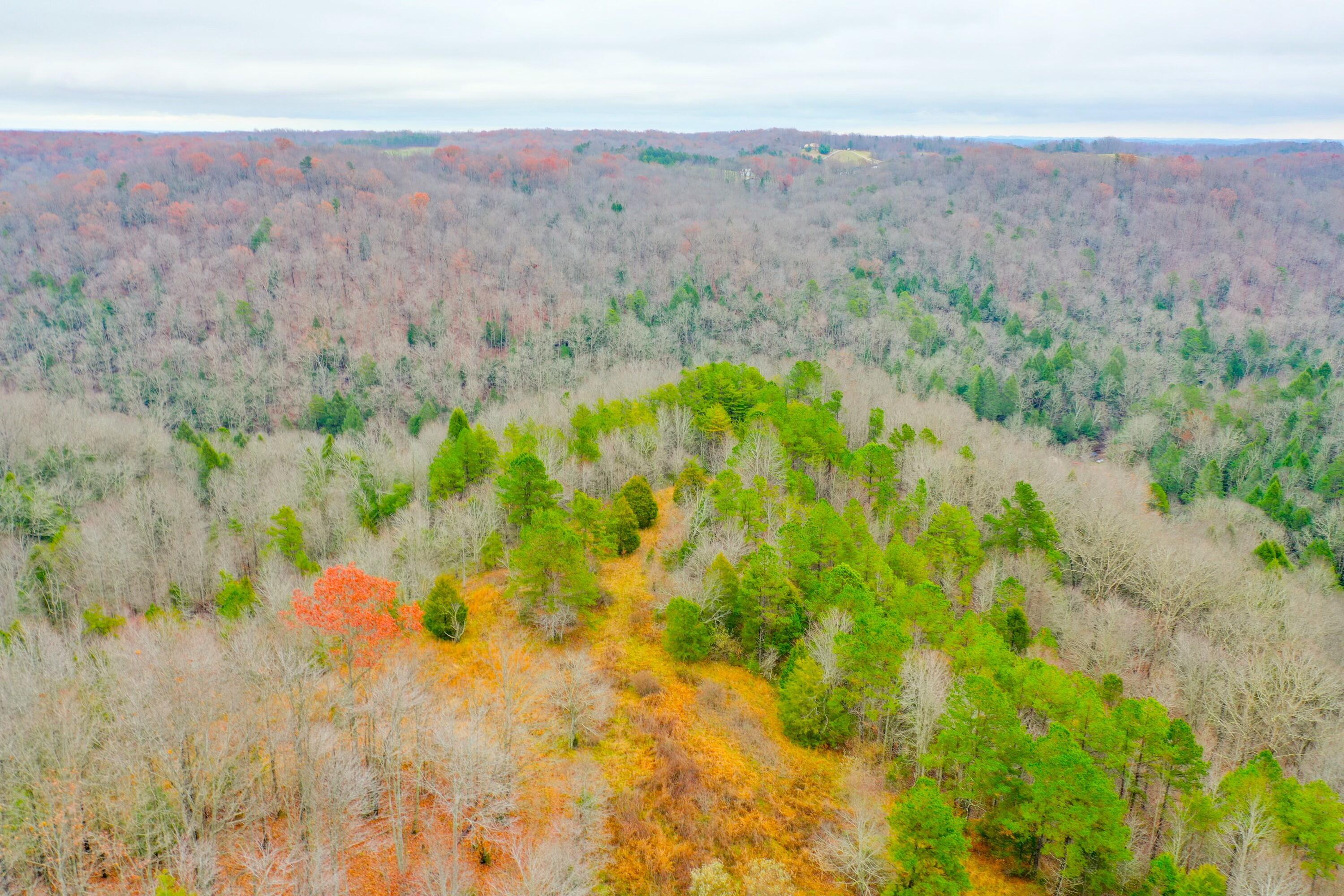 9999 War Fork Road Property Photo 4