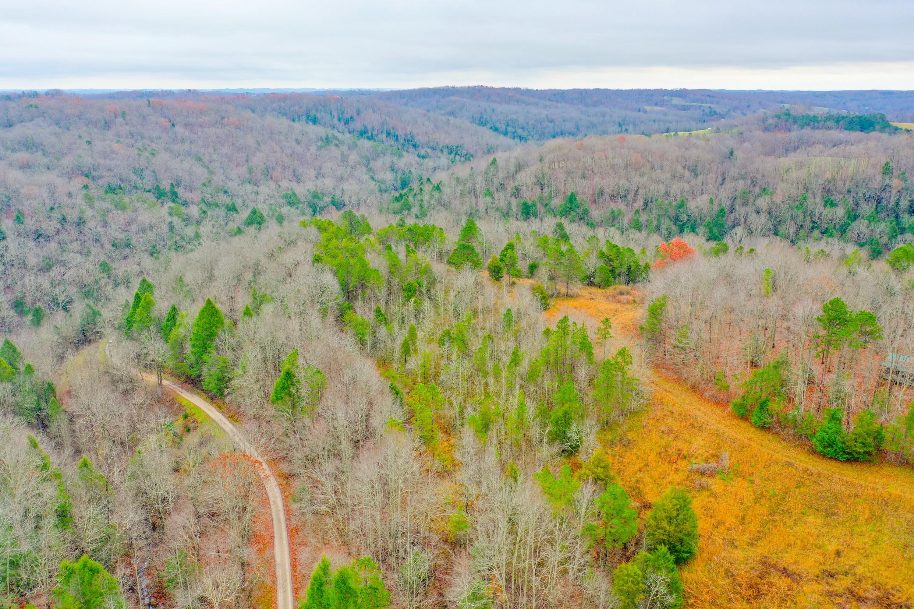 9999 War Fork Road Property Photo 6