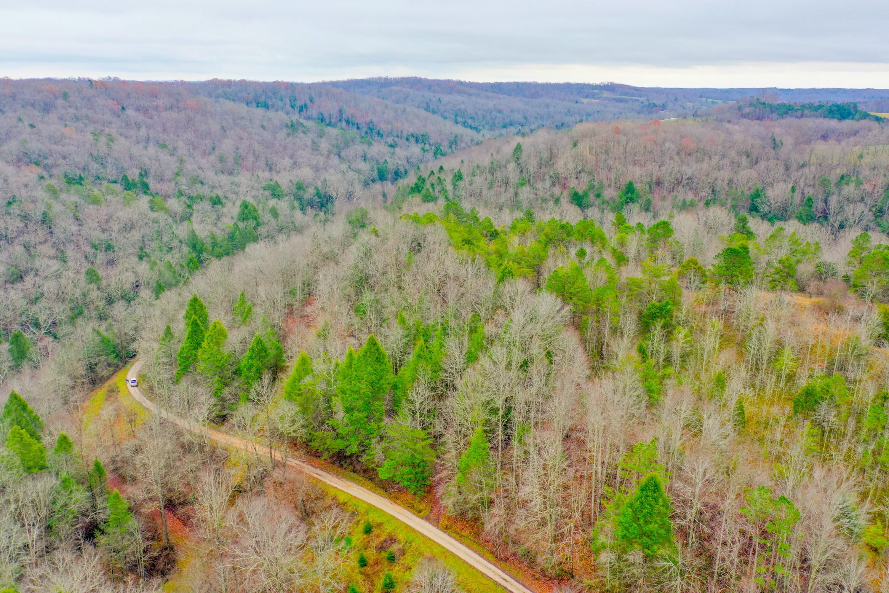 9999 War Fork Road Property Photo 7