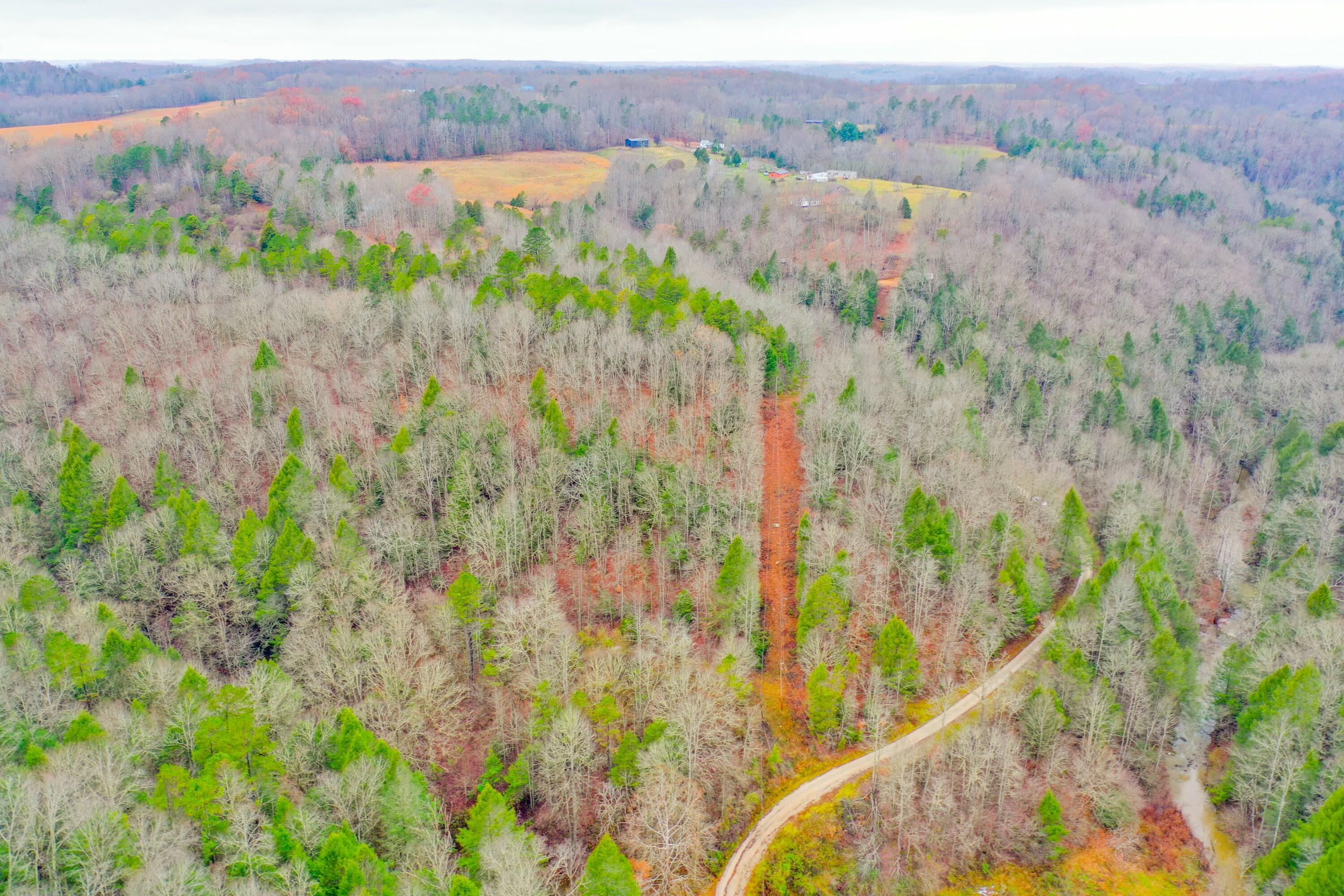9999 War Fork Road Property Photo 10