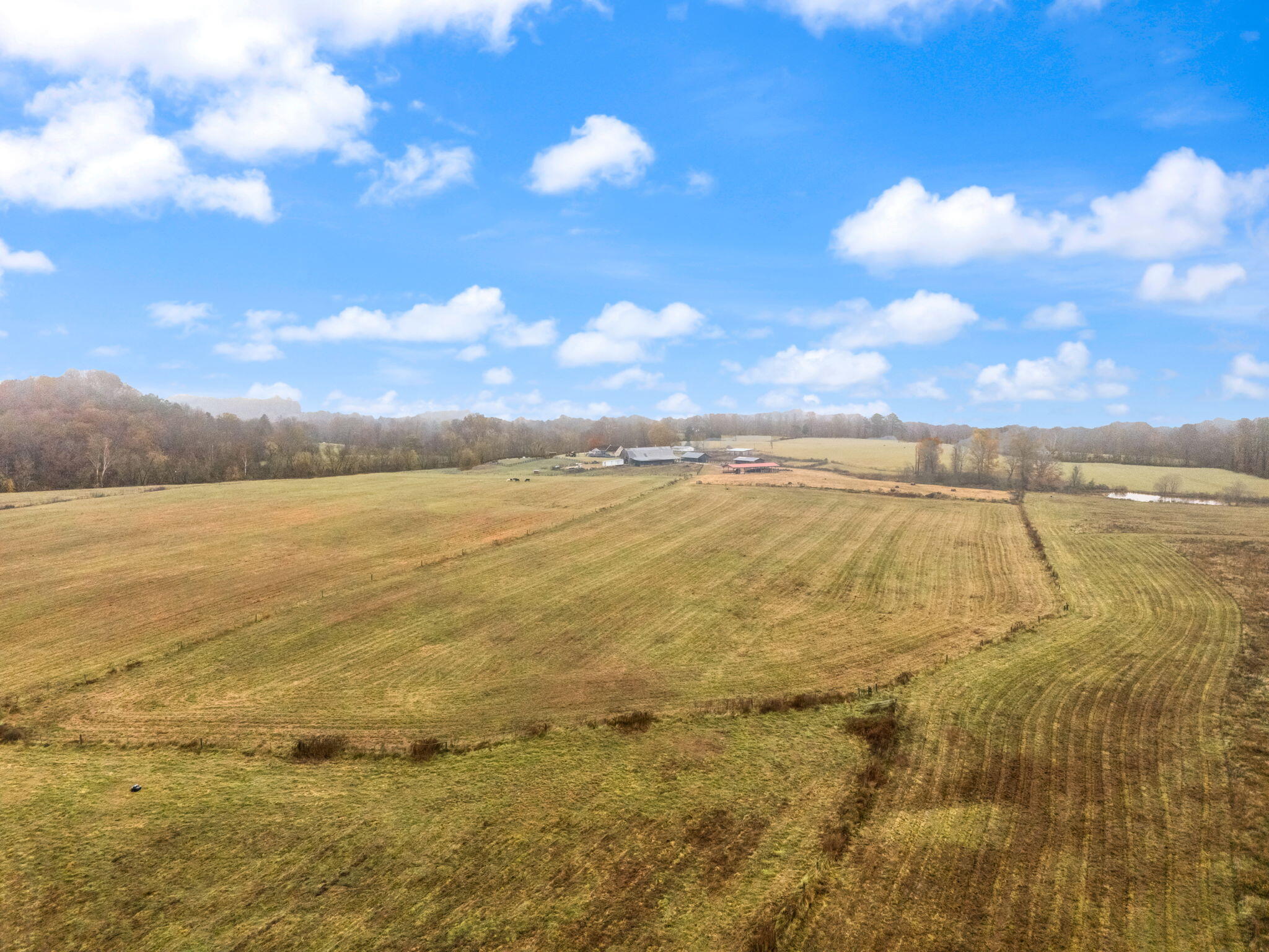 1451 Maiden Bend Road Property Photo 40