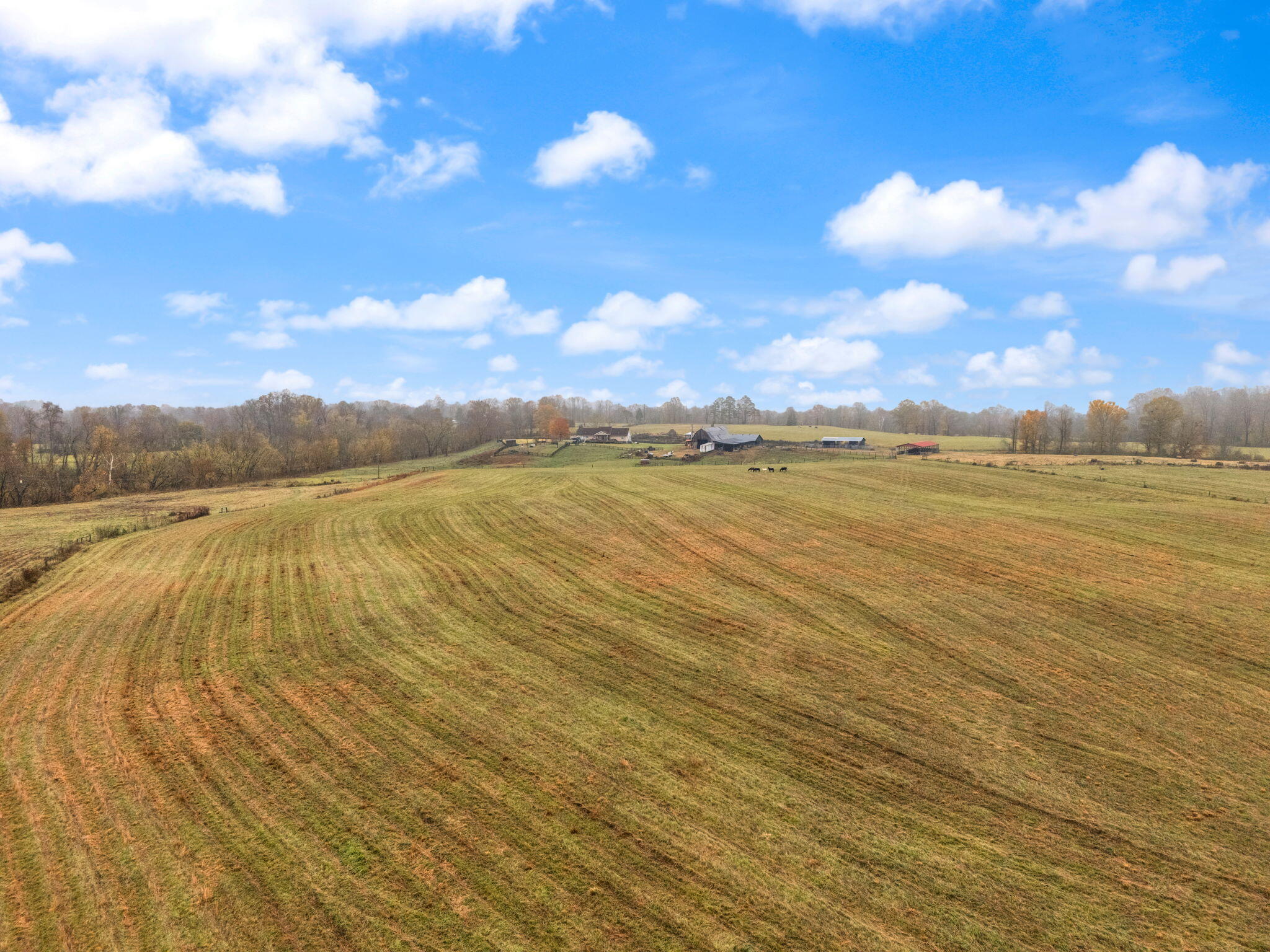 1451 Maiden Bend Road Property Photo 42