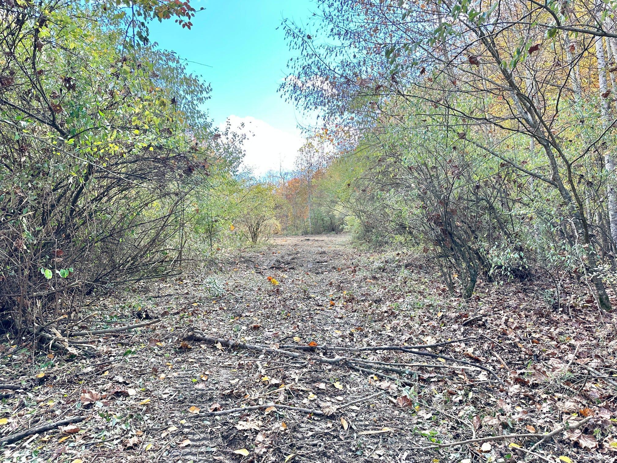 379a Highway 1690 Property Photo 45