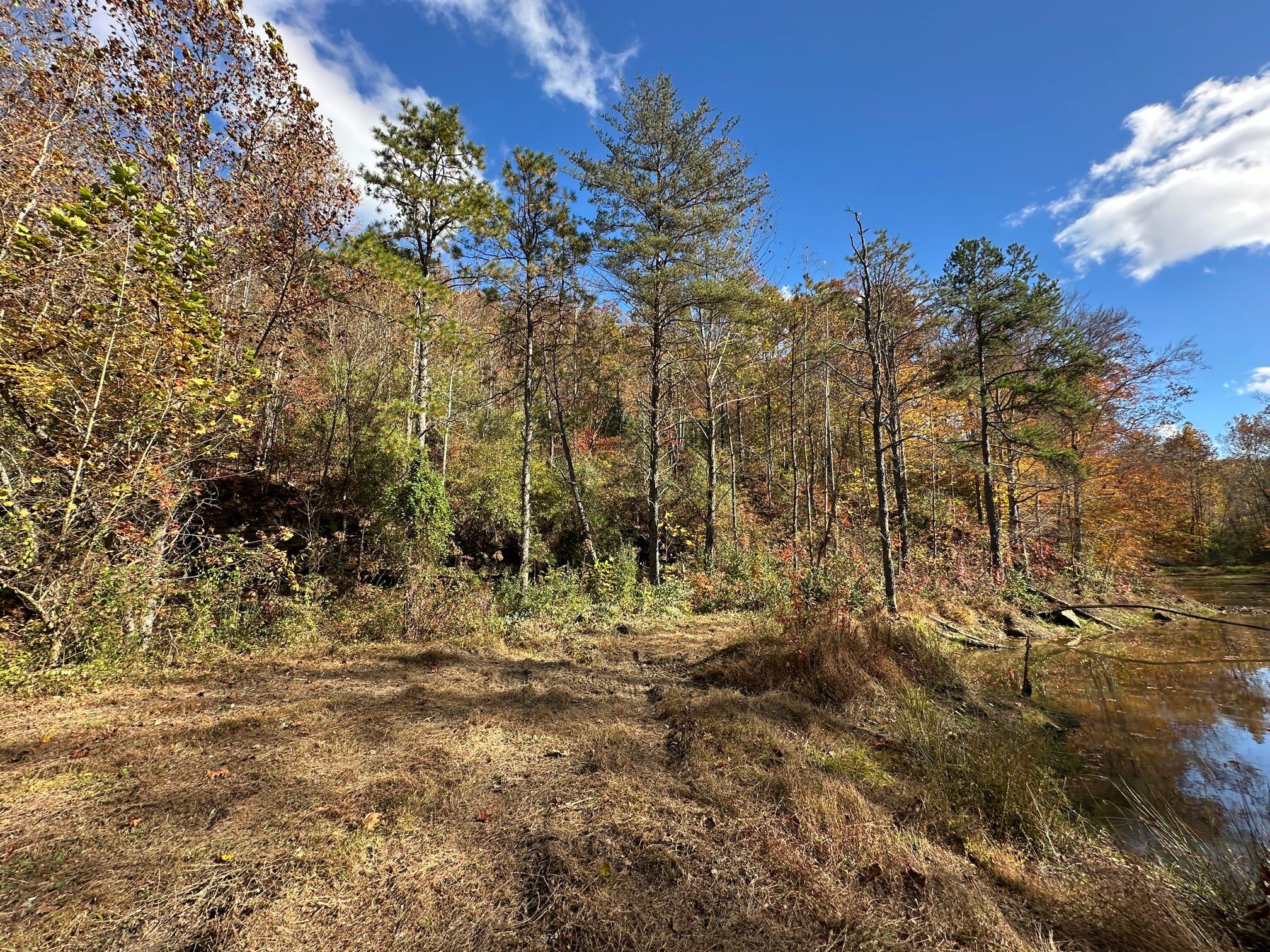 379a Highway 1690 Property Photo 49