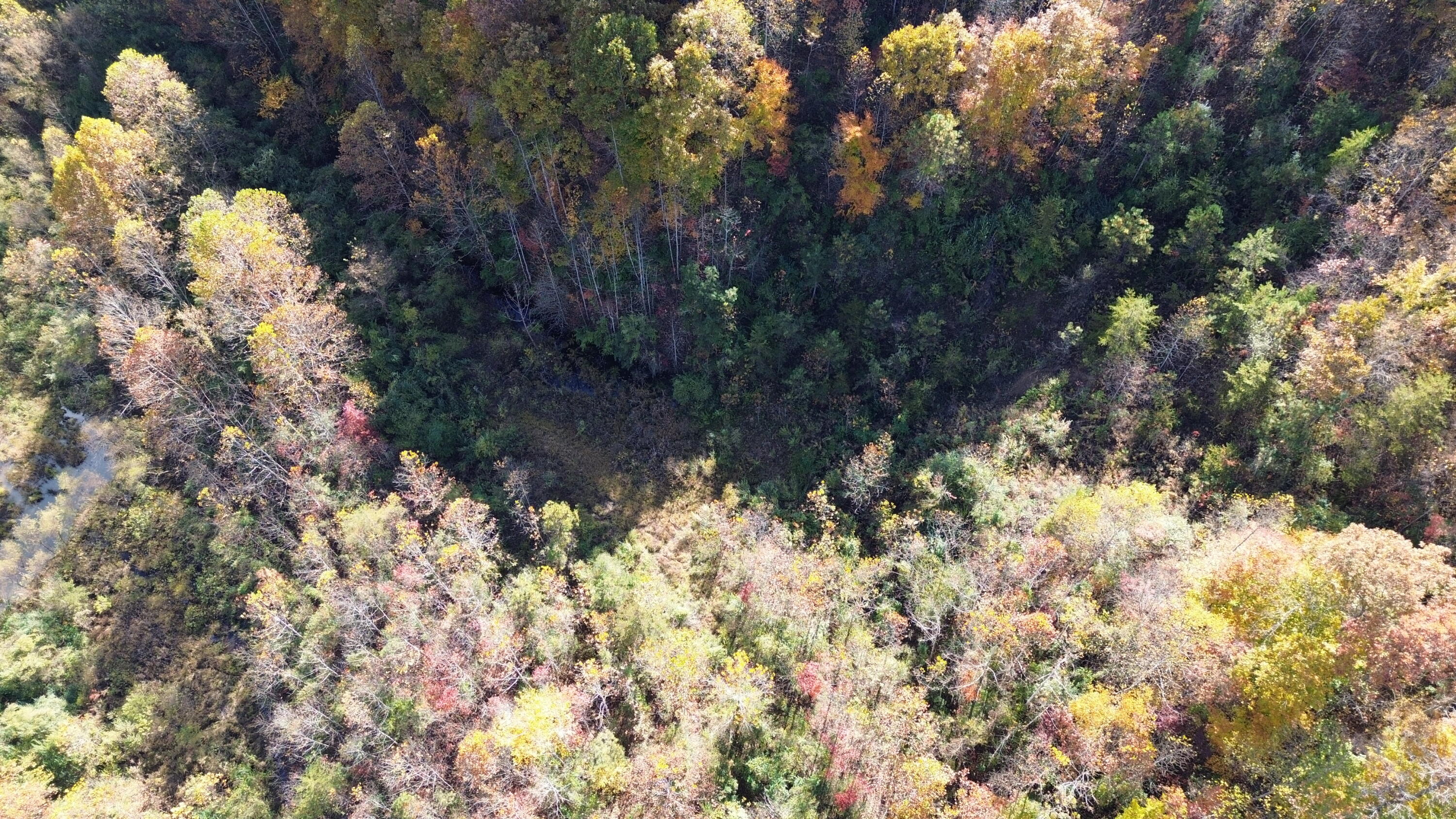 379a Highway 1690 Property Photo 60