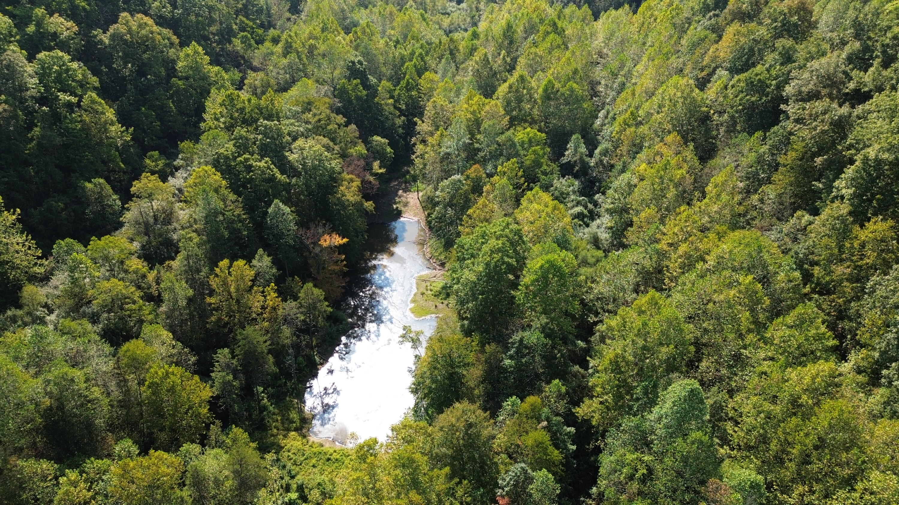 379a Highway 1690 Property Photo 71