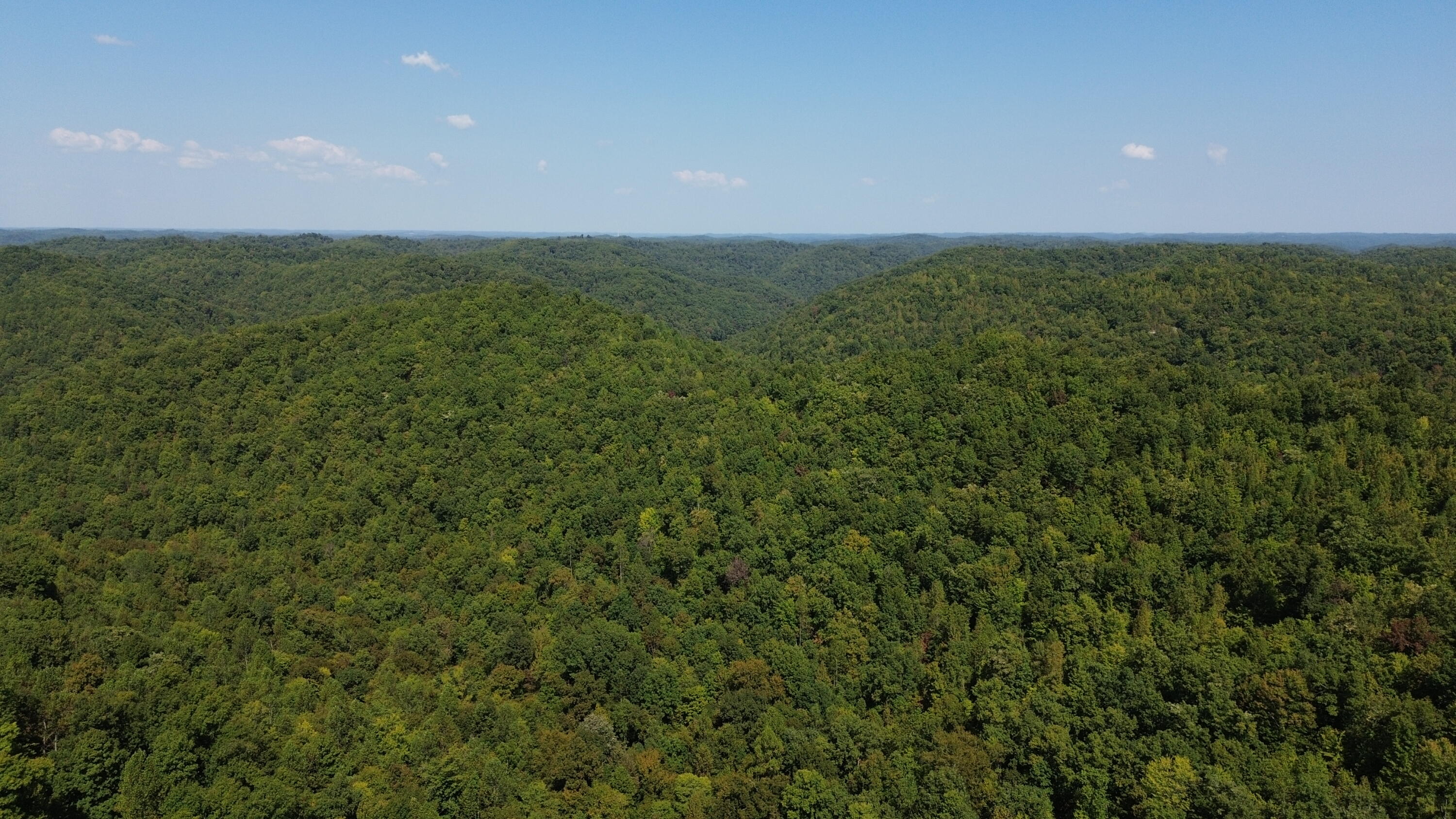 379a Highway 1690 Property Photo 84