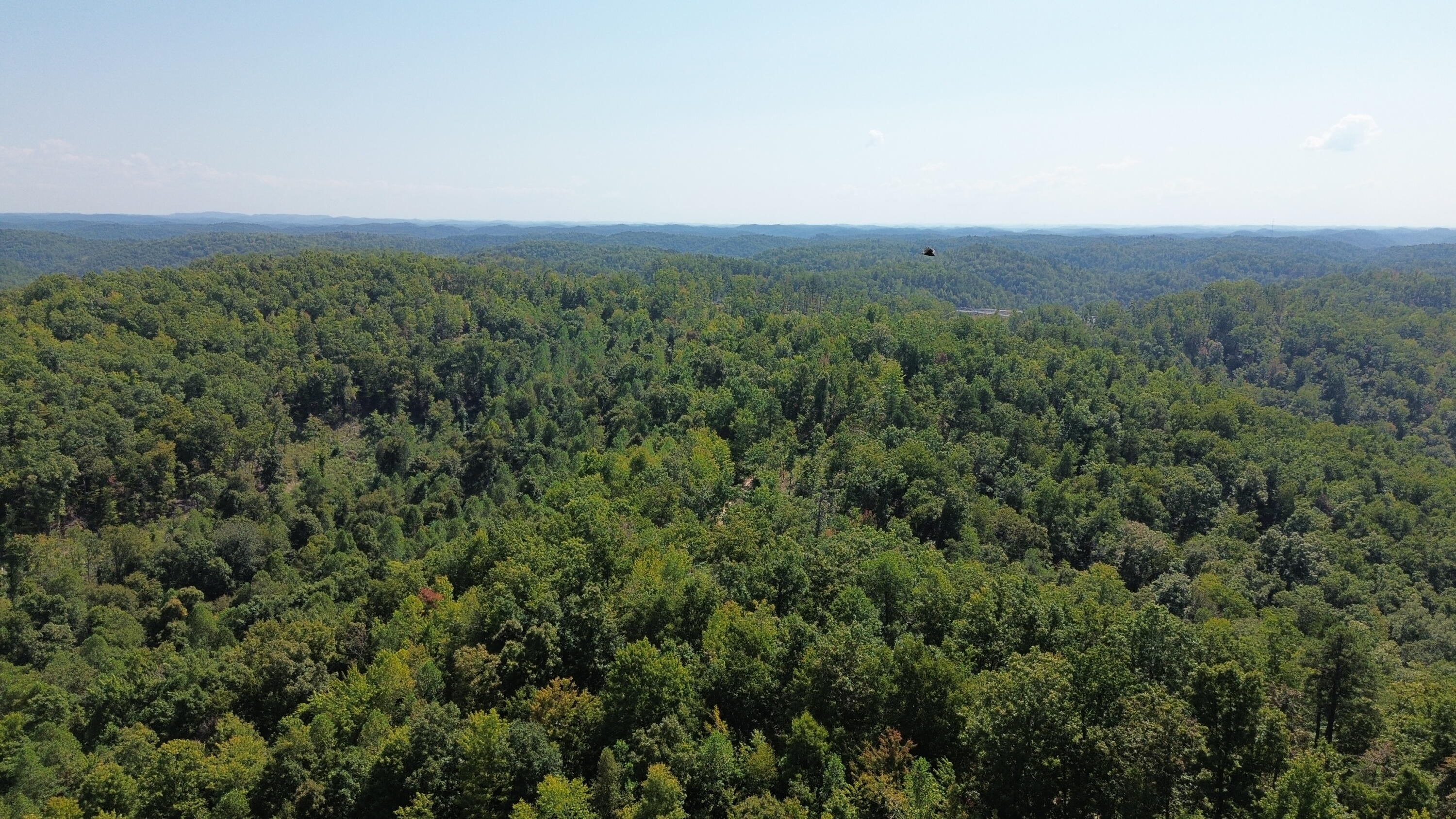 379a Highway 1690 Property Photo 85
