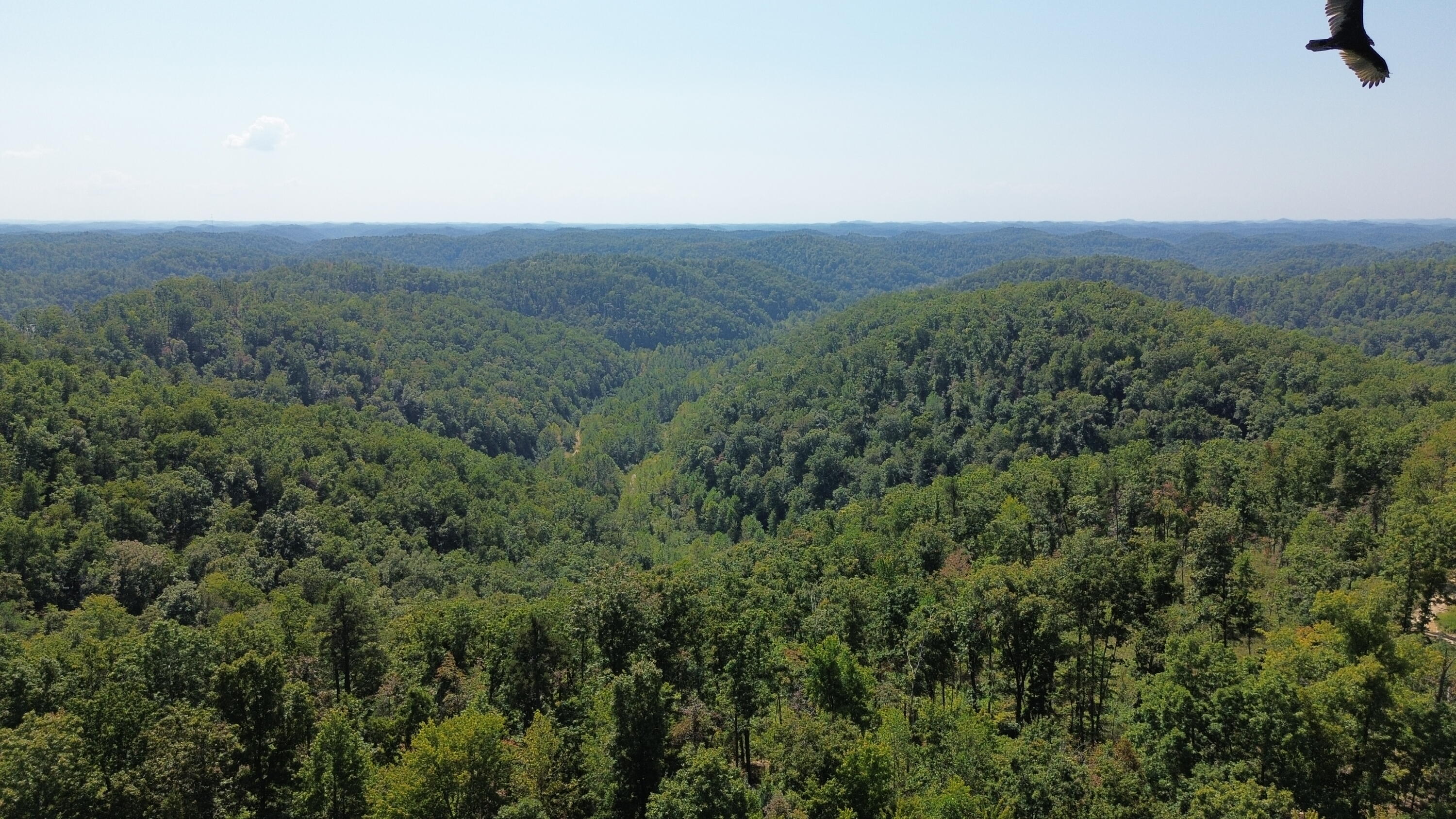 379a Highway 1690 Property Photo 86