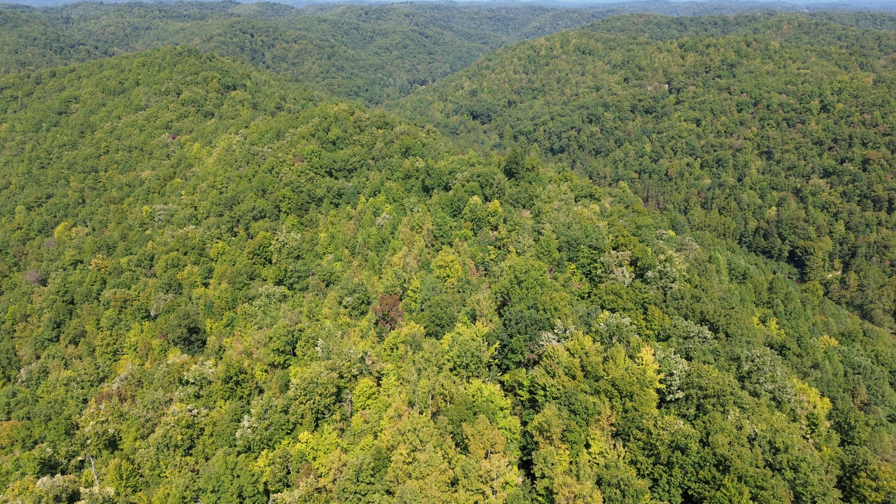 379a Highway 1690 Property Photo 88