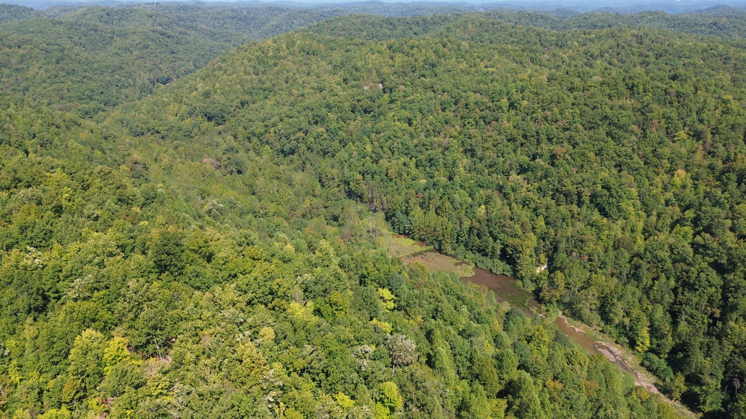 379a Highway 1690 Property Photo 89