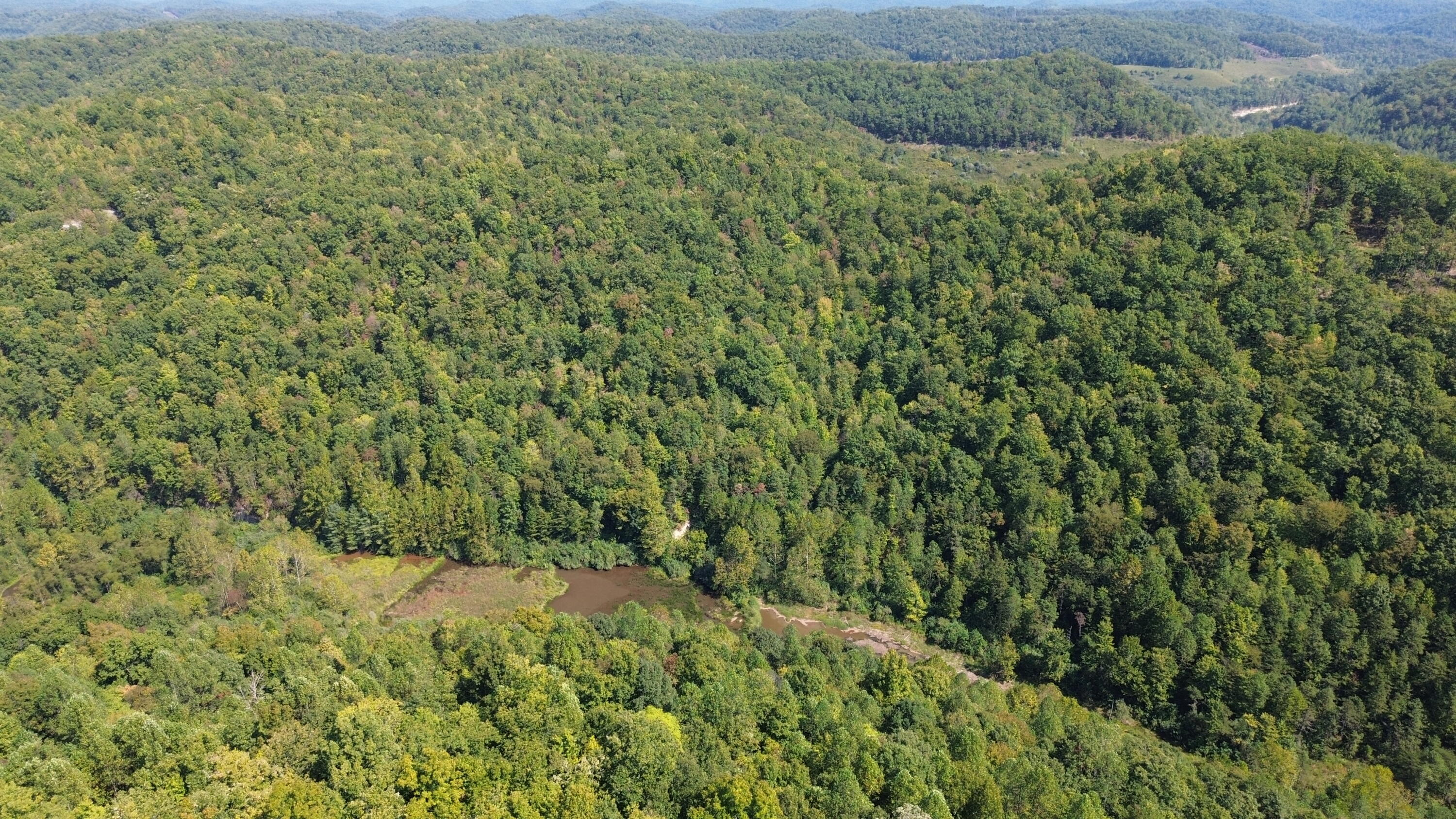 379a Highway 1690 Property Photo 90