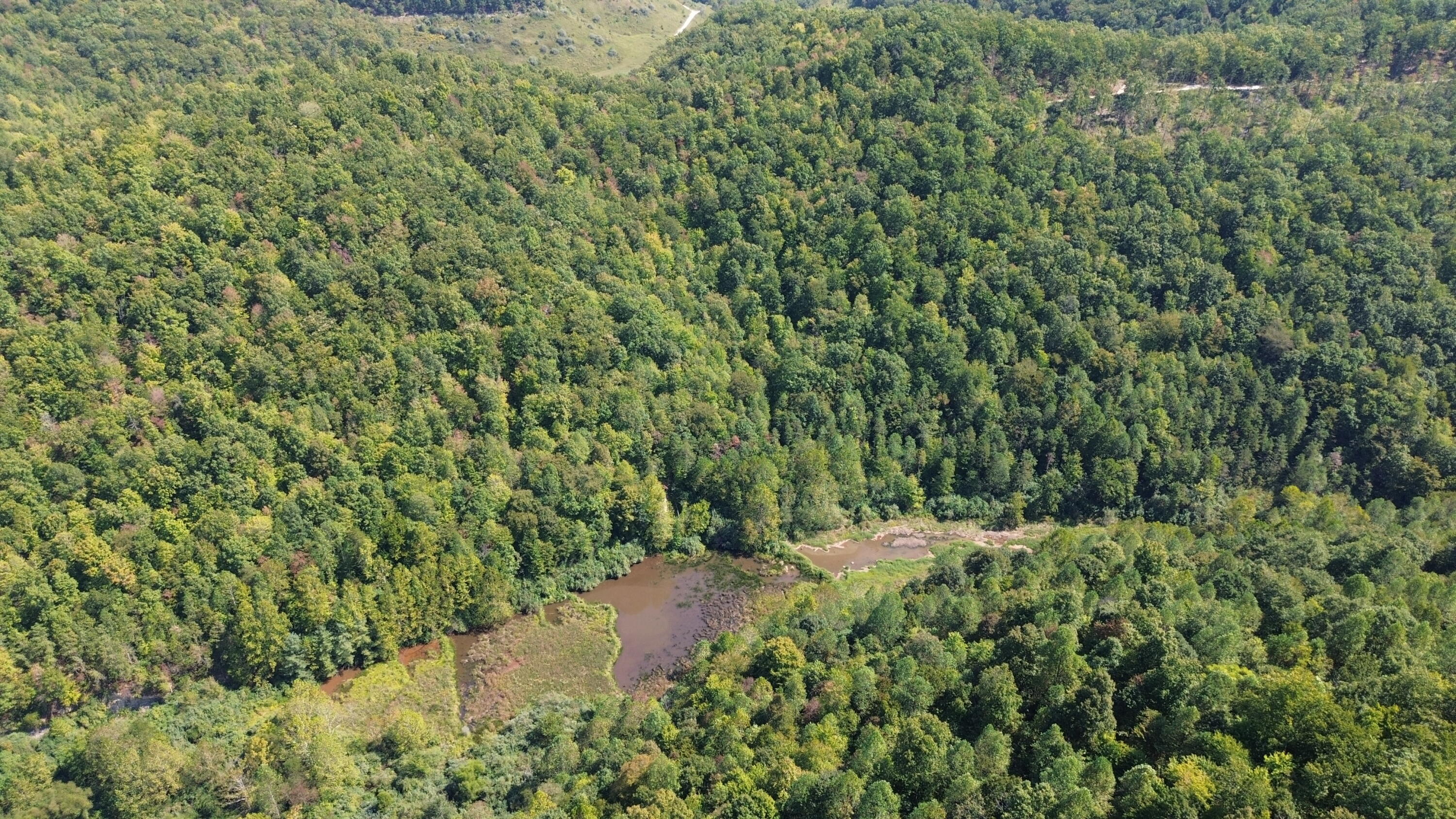 379a Highway 1690 Property Photo 93