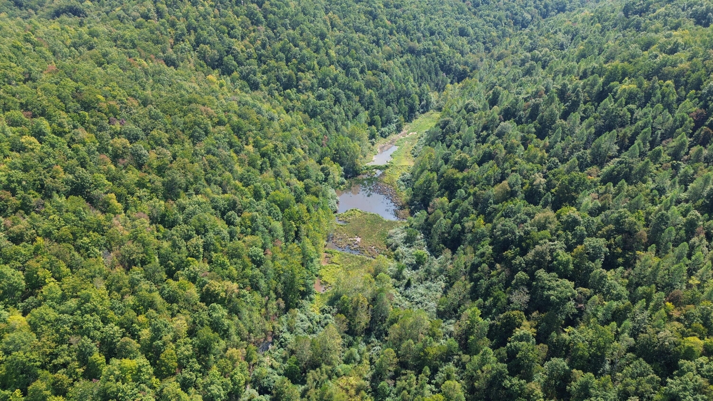 379a Highway 1690 Property Photo 100