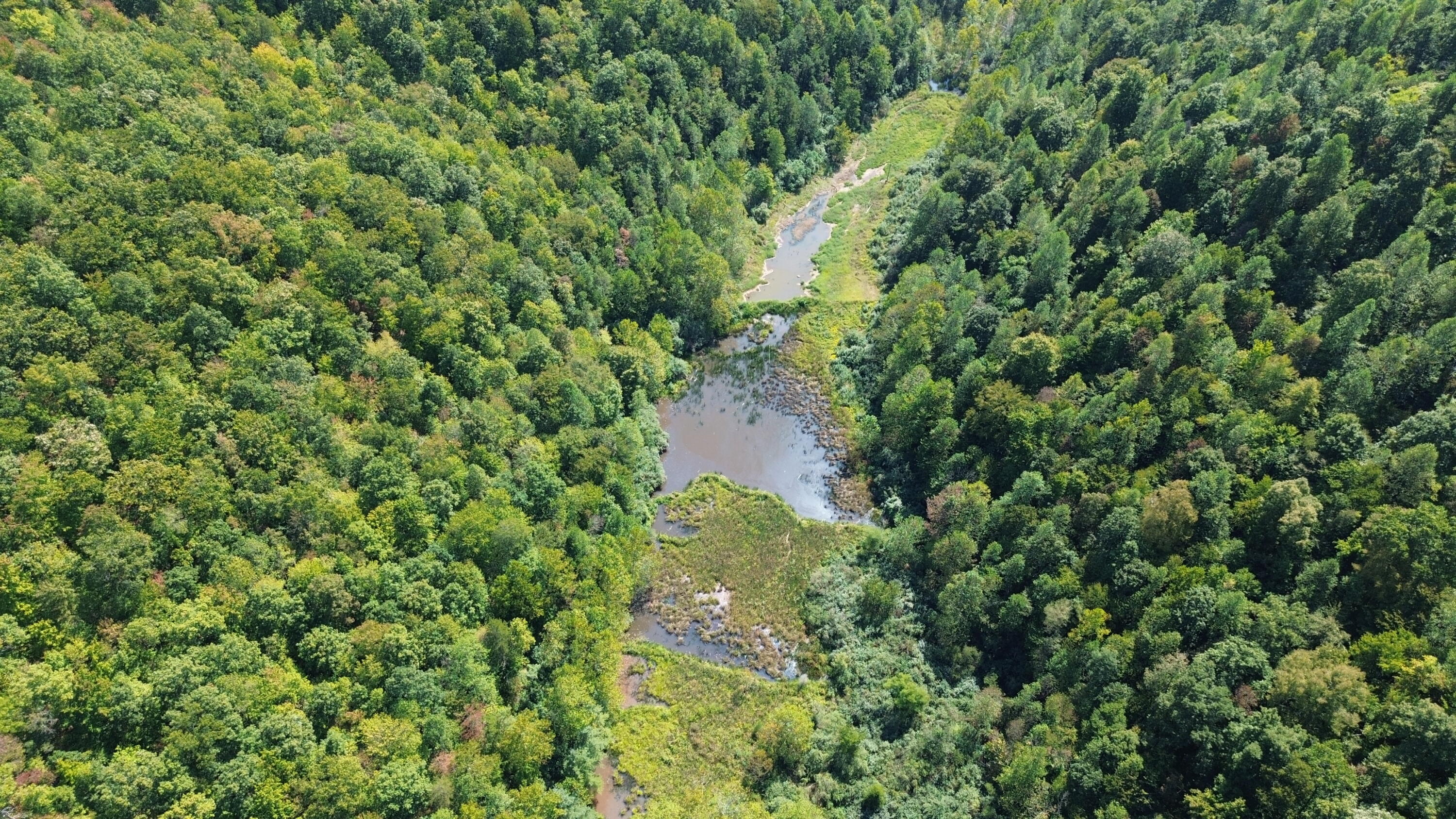 379a Highway 1690 Property Photo 101