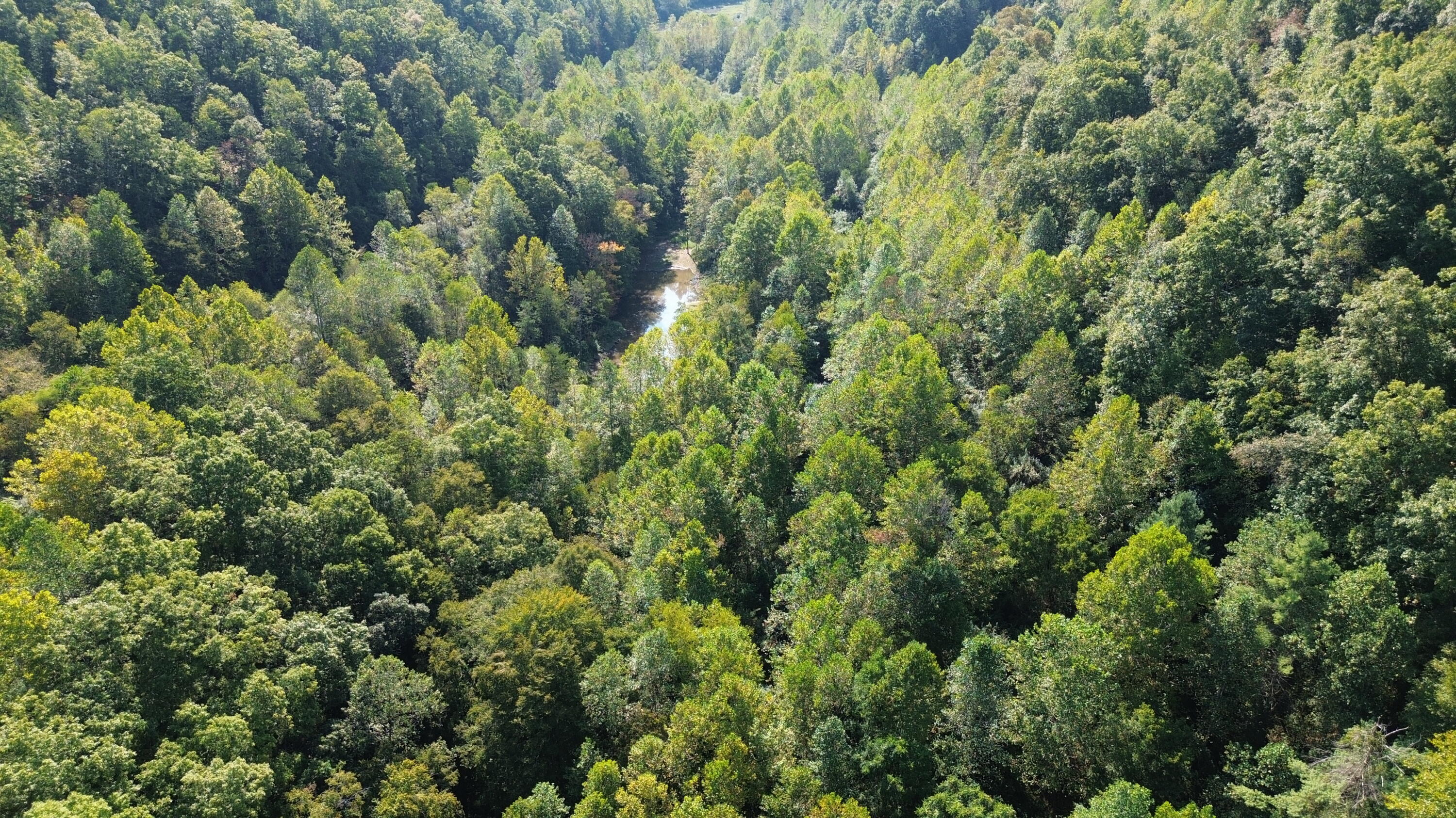 379a Highway 1690 Property Photo 103