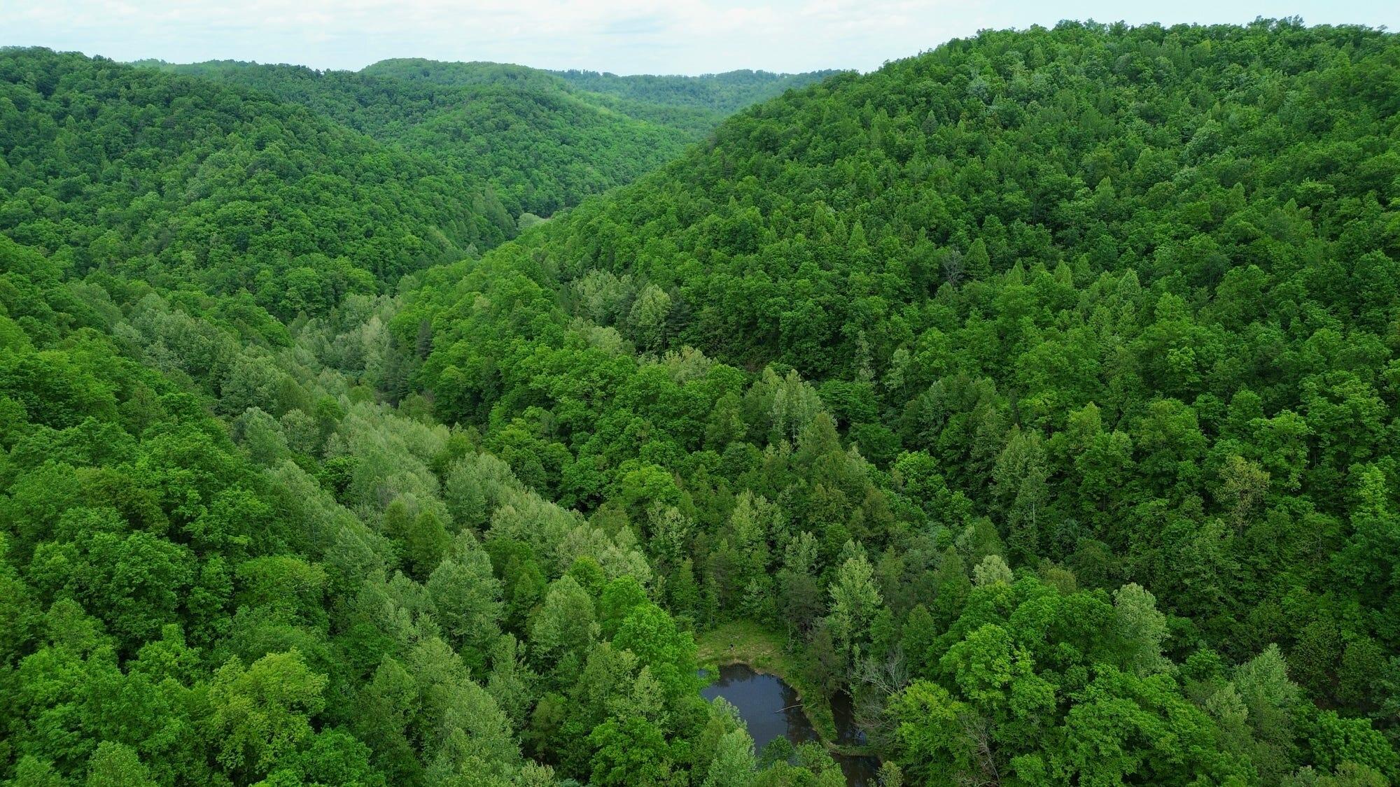 379a Highway 1690 Property Photo 104