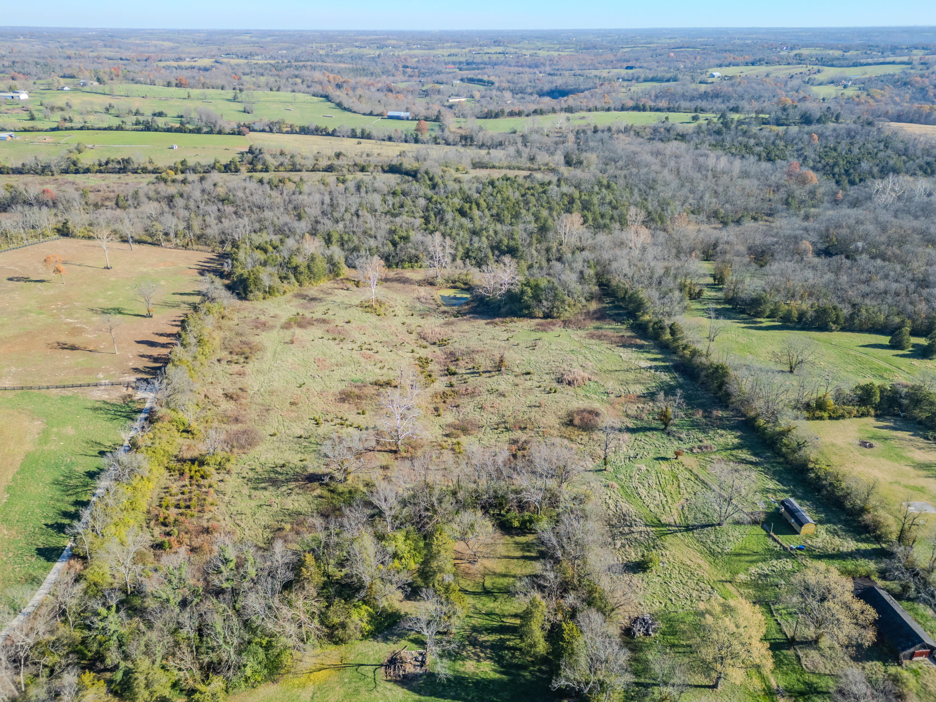 7897 Old Richmond Road Property Photo 5