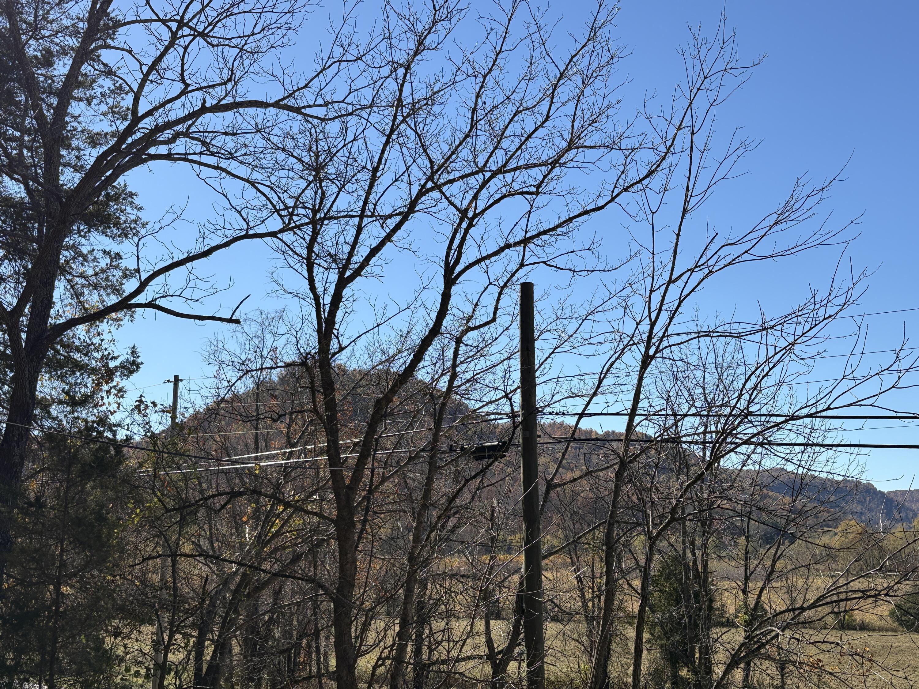 3999 Mckee Road Property Photo 12