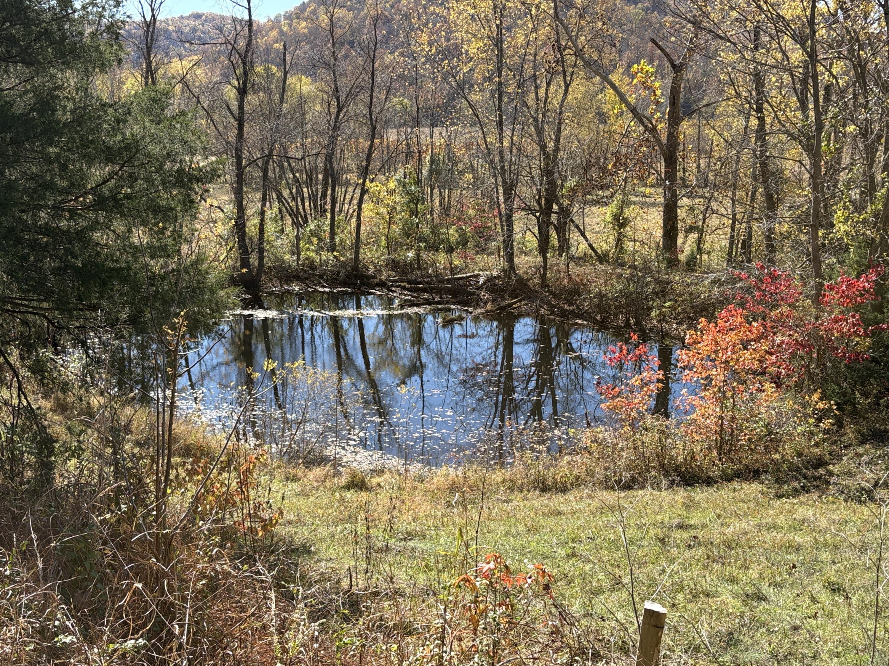 3999 Mckee Road Property Photo 41