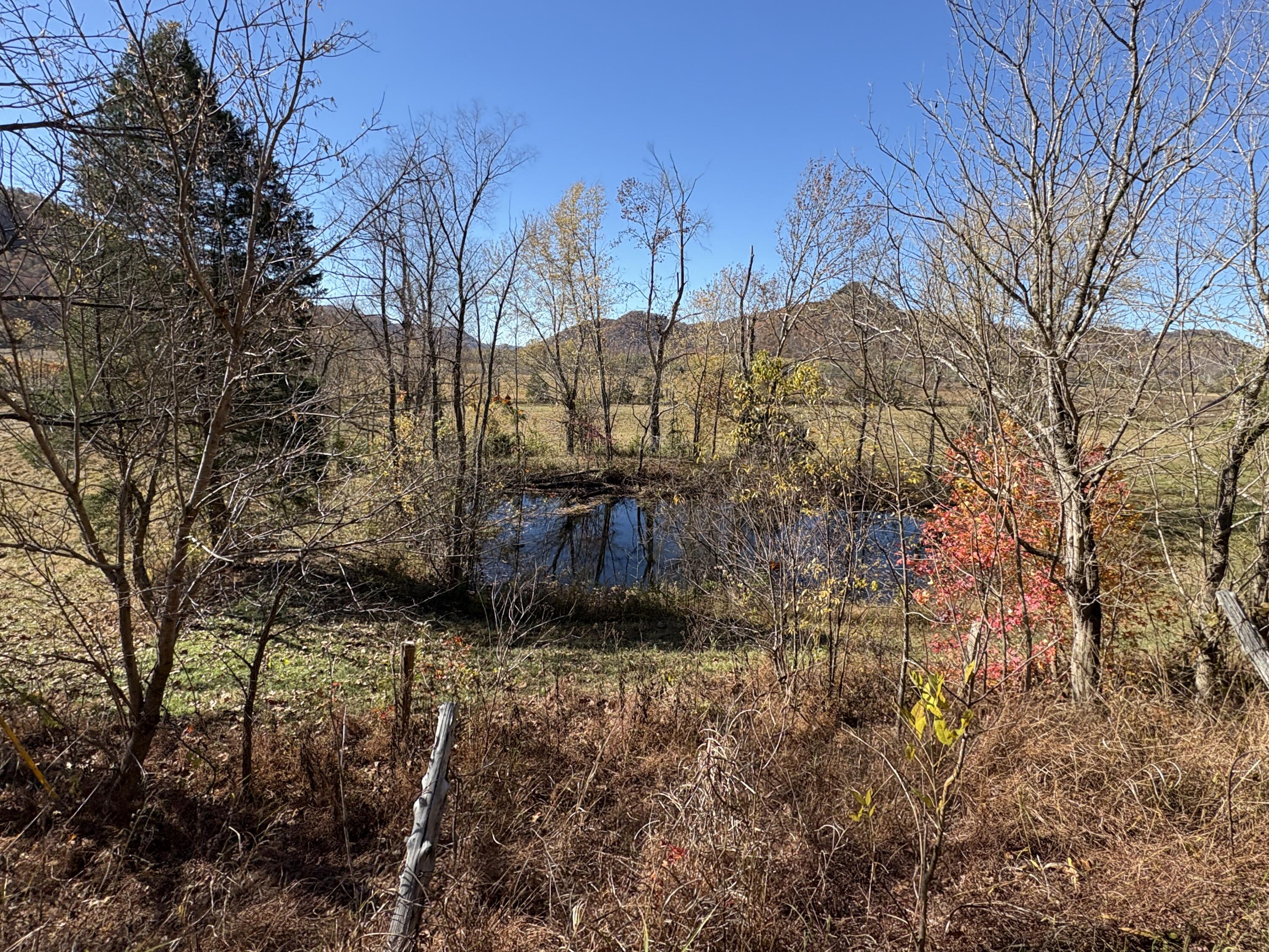 3999 Mckee Road Property Photo 43